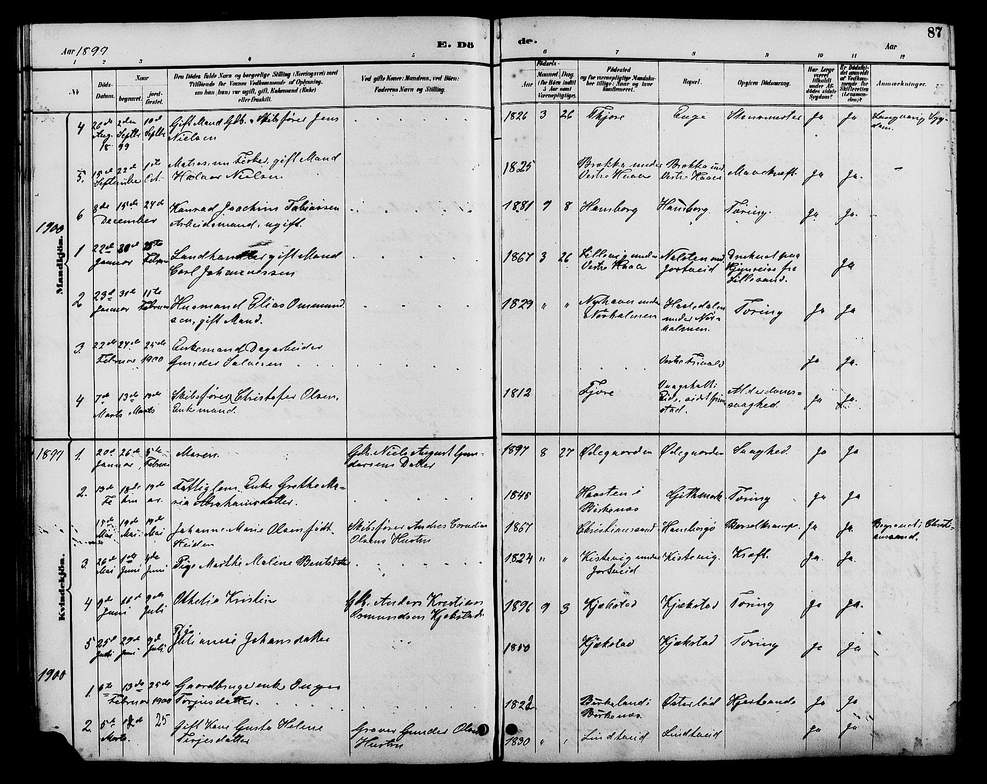 Hommedal sokneprestkontor, AV/SAK-1111-0023/F/Fb/Fba/L0004: Parish register (copy) no. B 4, 1885-1908, p. 87