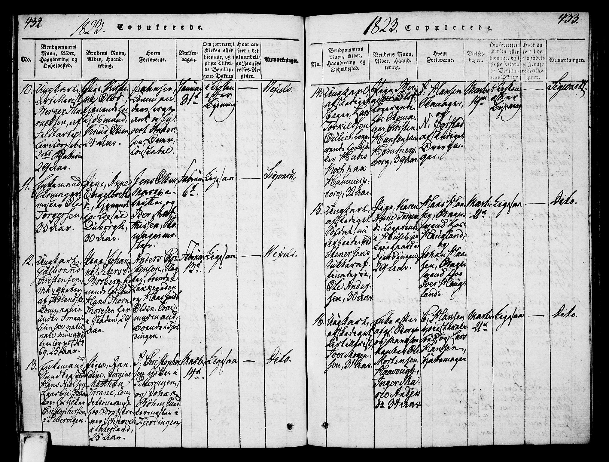 Oslo domkirke Kirkebøker, AV/SAO-A-10752/F/Fa/L0007: Parish register (official) no. 7, 1817-1824, p. 432-433