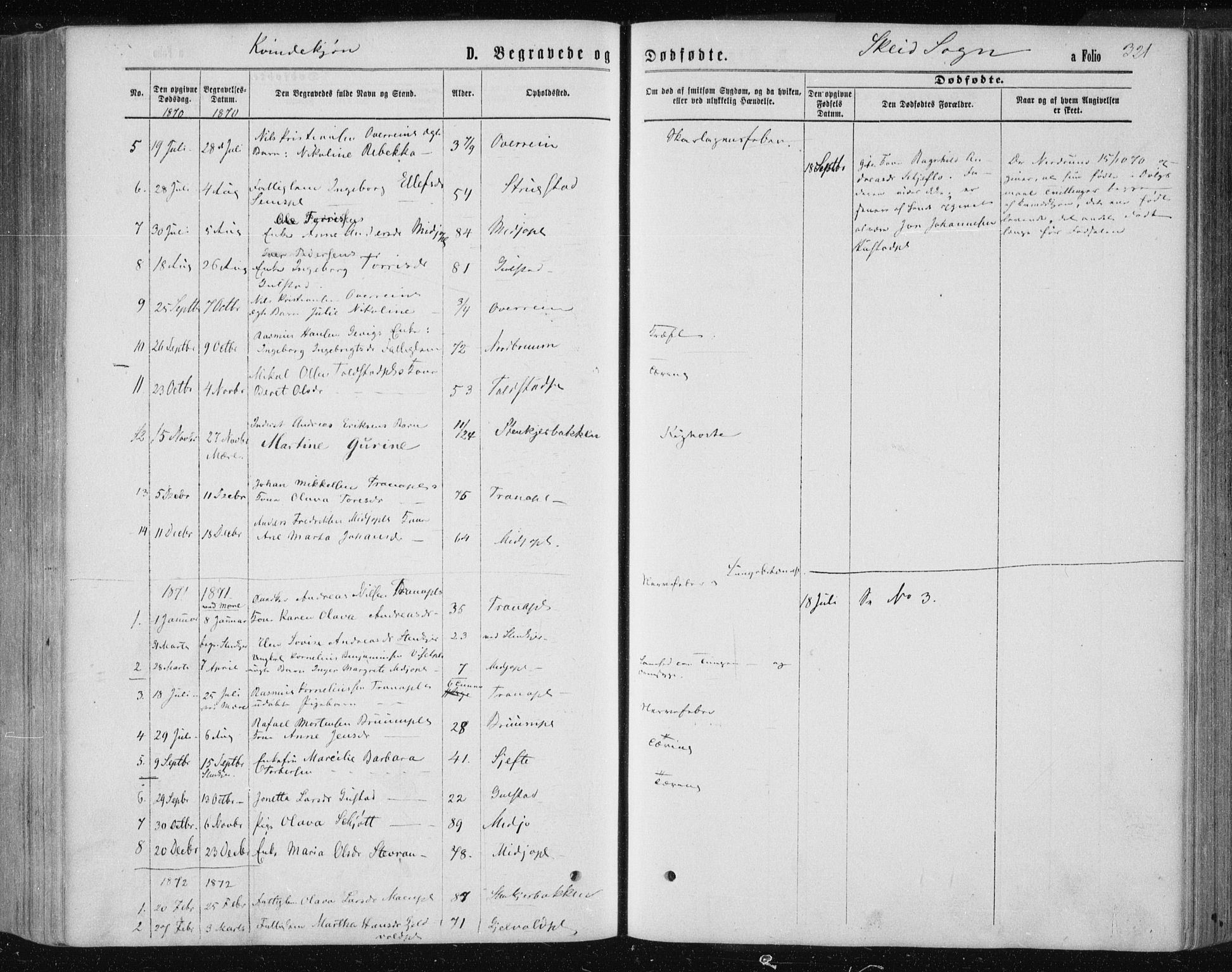 Ministerialprotokoller, klokkerbøker og fødselsregistre - Nord-Trøndelag, AV/SAT-A-1458/735/L0345: Parish register (official) no. 735A08 /2, 1863-1872, p. 321