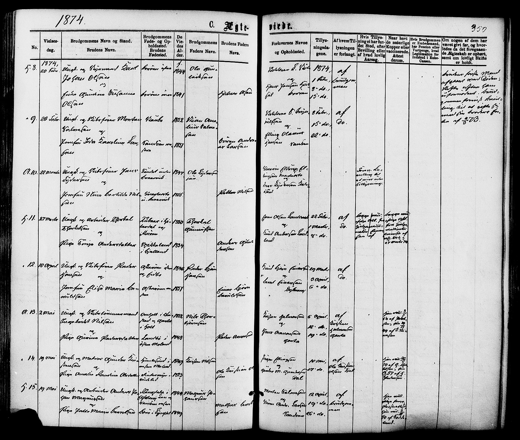 Dypvåg sokneprestkontor, AV/SAK-1111-0007/F/Fa/Faa/L0007: Parish register (official) no. A 7/ 1, 1872-1884, p. 350