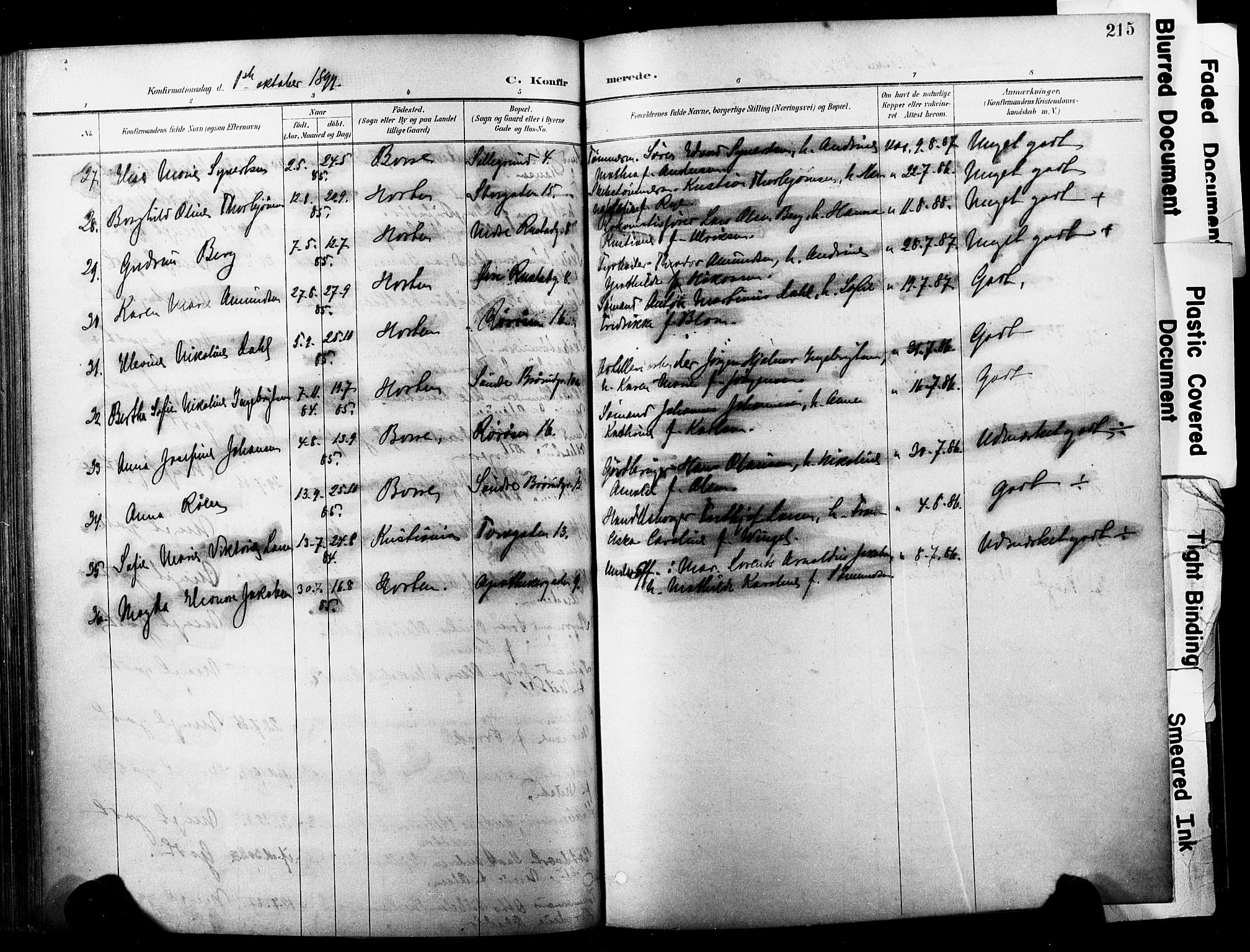 Horten kirkebøker, AV/SAKO-A-348/F/Fa/L0005: Parish register (official) no. 5, 1896-1904, p. 215