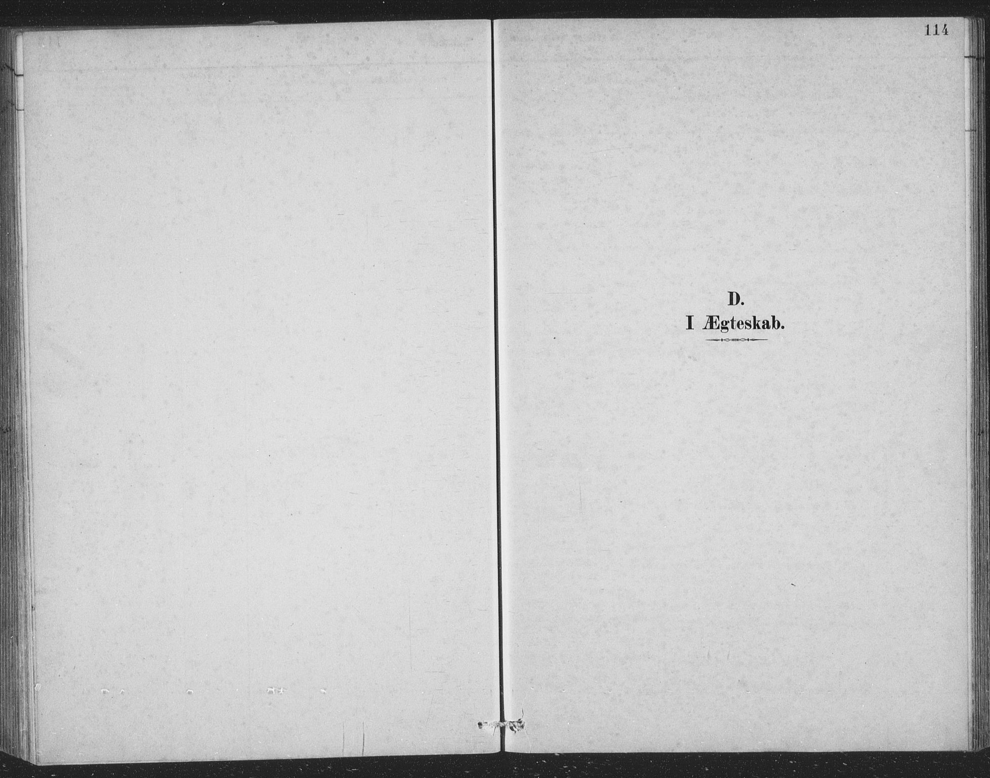 Åsane sokneprestembete, AV/SAB-A-79401/H/Hab: Parish register (copy) no. A 2, 1885-1898, p. 114