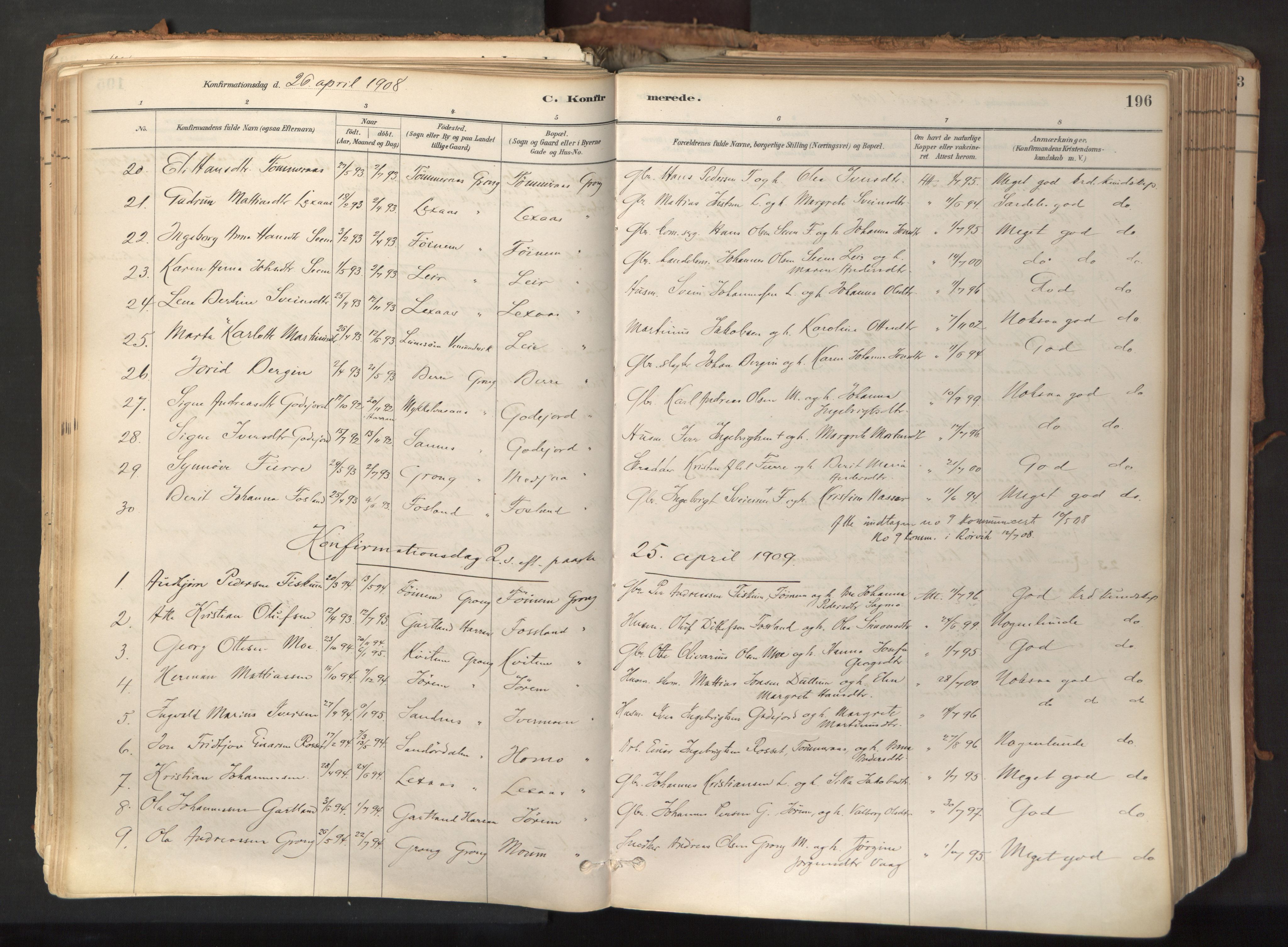 Ministerialprotokoller, klokkerbøker og fødselsregistre - Nord-Trøndelag, AV/SAT-A-1458/758/L0519: Parish register (official) no. 758A04, 1880-1926, p. 196