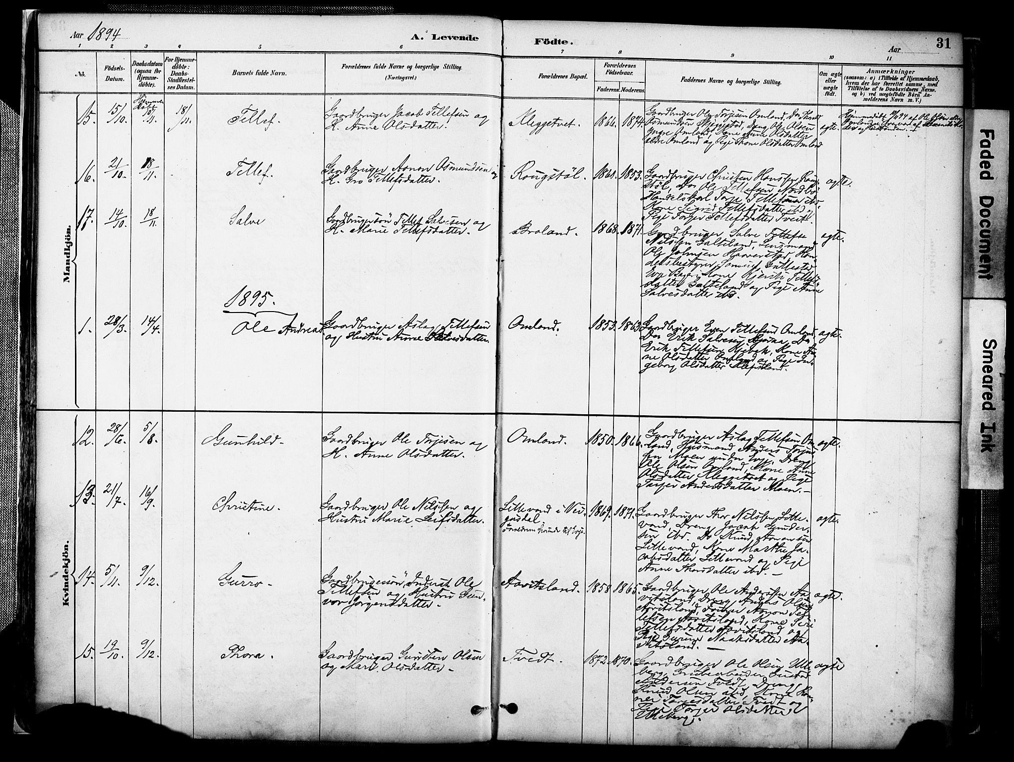 Evje sokneprestkontor, AV/SAK-1111-0008/F/Fa/Faa/L0007: Parish register (official) no. A 7, 1884-1909, p. 31