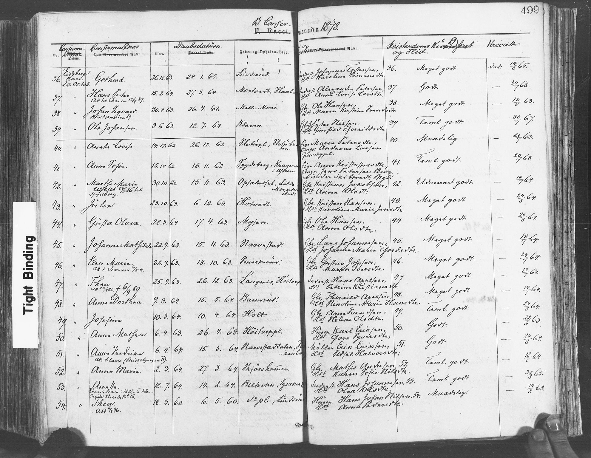 Eidsberg prestekontor Kirkebøker, AV/SAO-A-10905/F/Fa/L0011: Parish register (official) no. I 11, 1867-1878, p. 499