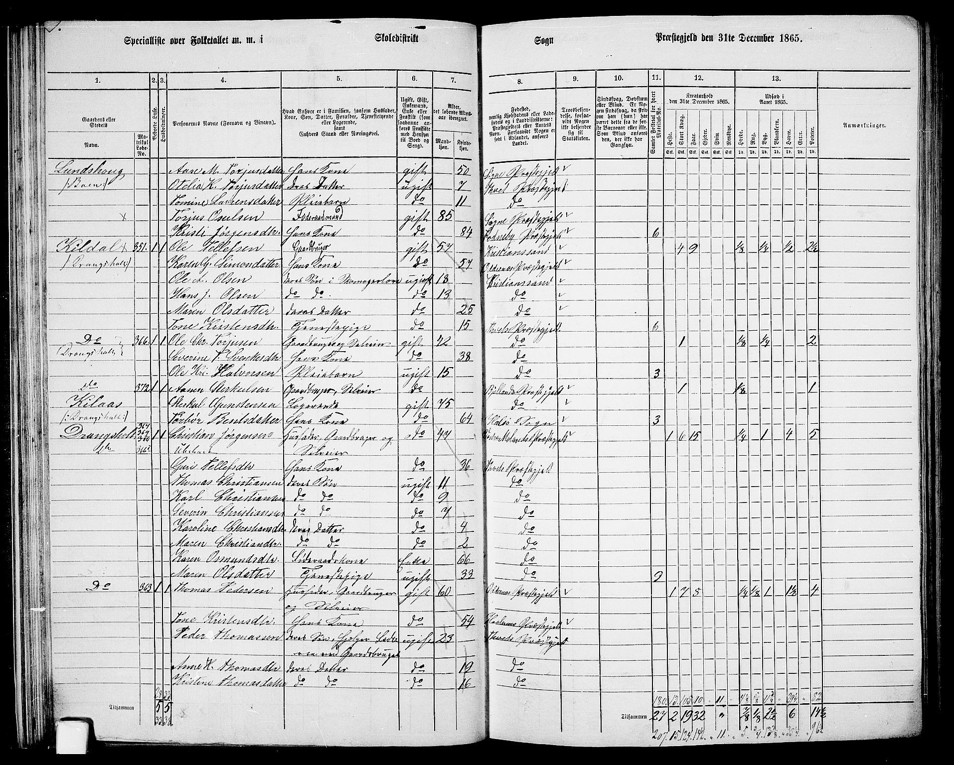 RA, 1865 census for Tveit, 1865, p. 41