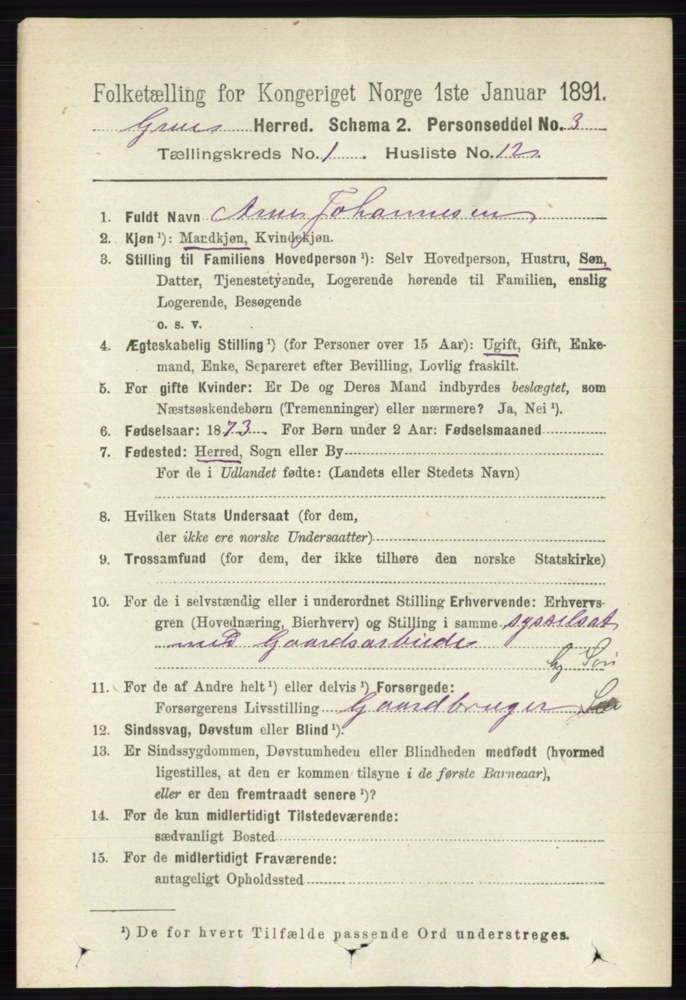 RA, 1891 census for 0423 Grue, 1891, p. 263