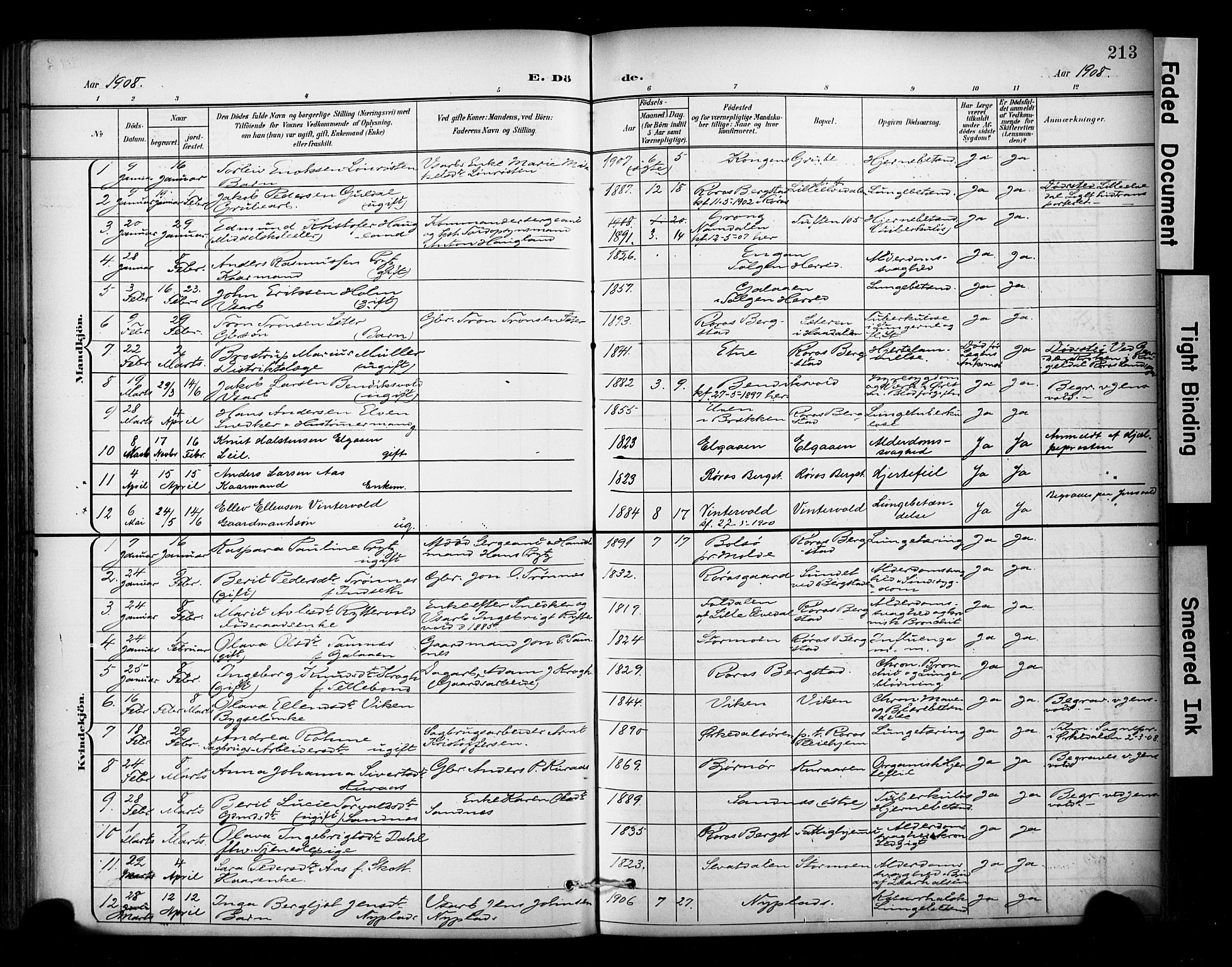 Ministerialprotokoller, klokkerbøker og fødselsregistre - Sør-Trøndelag, SAT/A-1456/681/L0936: Parish register (official) no. 681A14, 1899-1908, p. 213