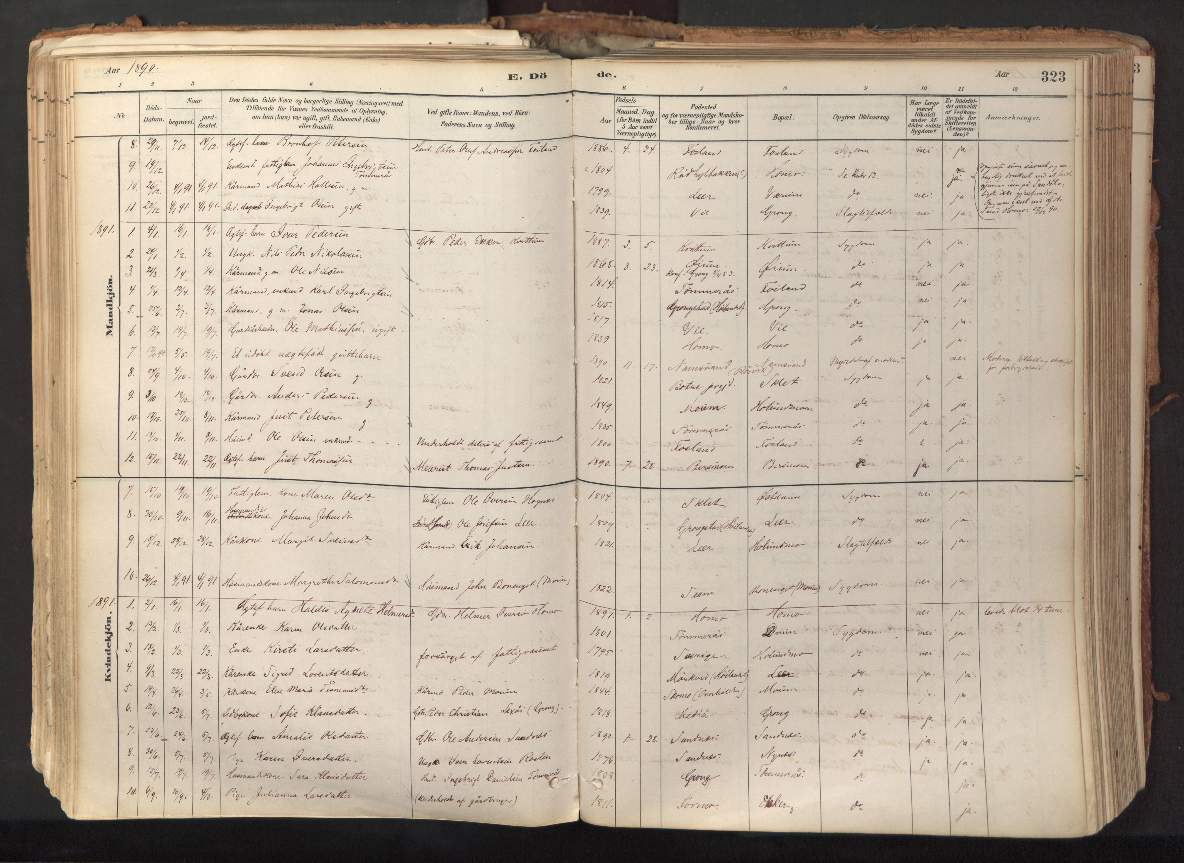 Ministerialprotokoller, klokkerbøker og fødselsregistre - Nord-Trøndelag, SAT/A-1458/758/L0519: Parish register (official) no. 758A04, 1880-1926, p. 323