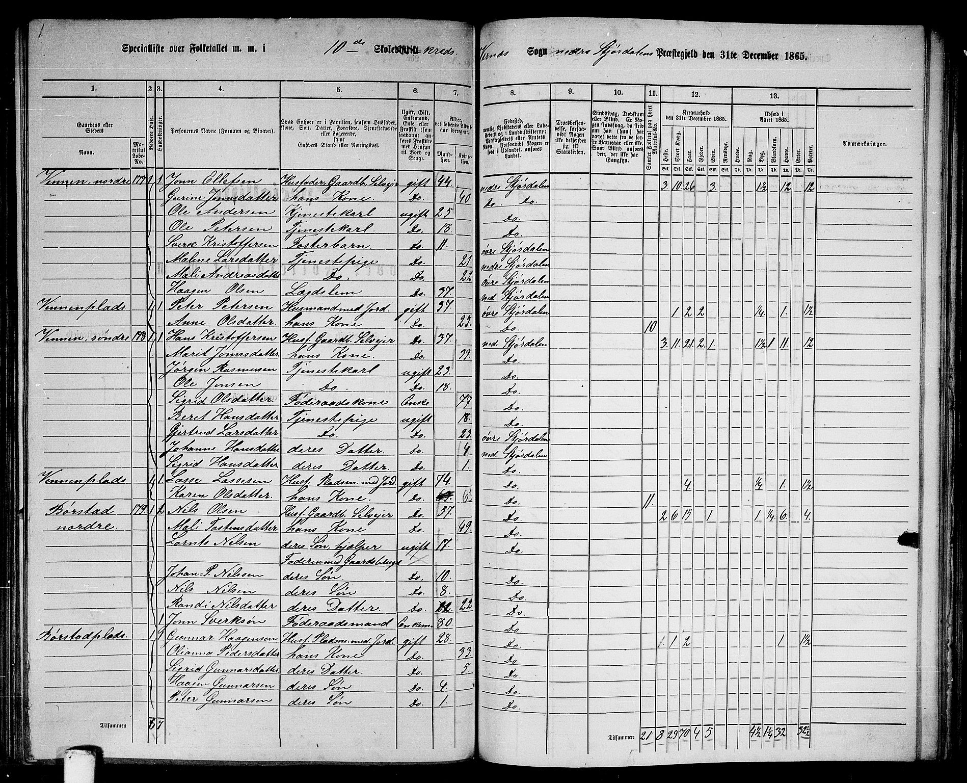 RA, 1865 census for Nedre Stjørdal, 1865, p. 207