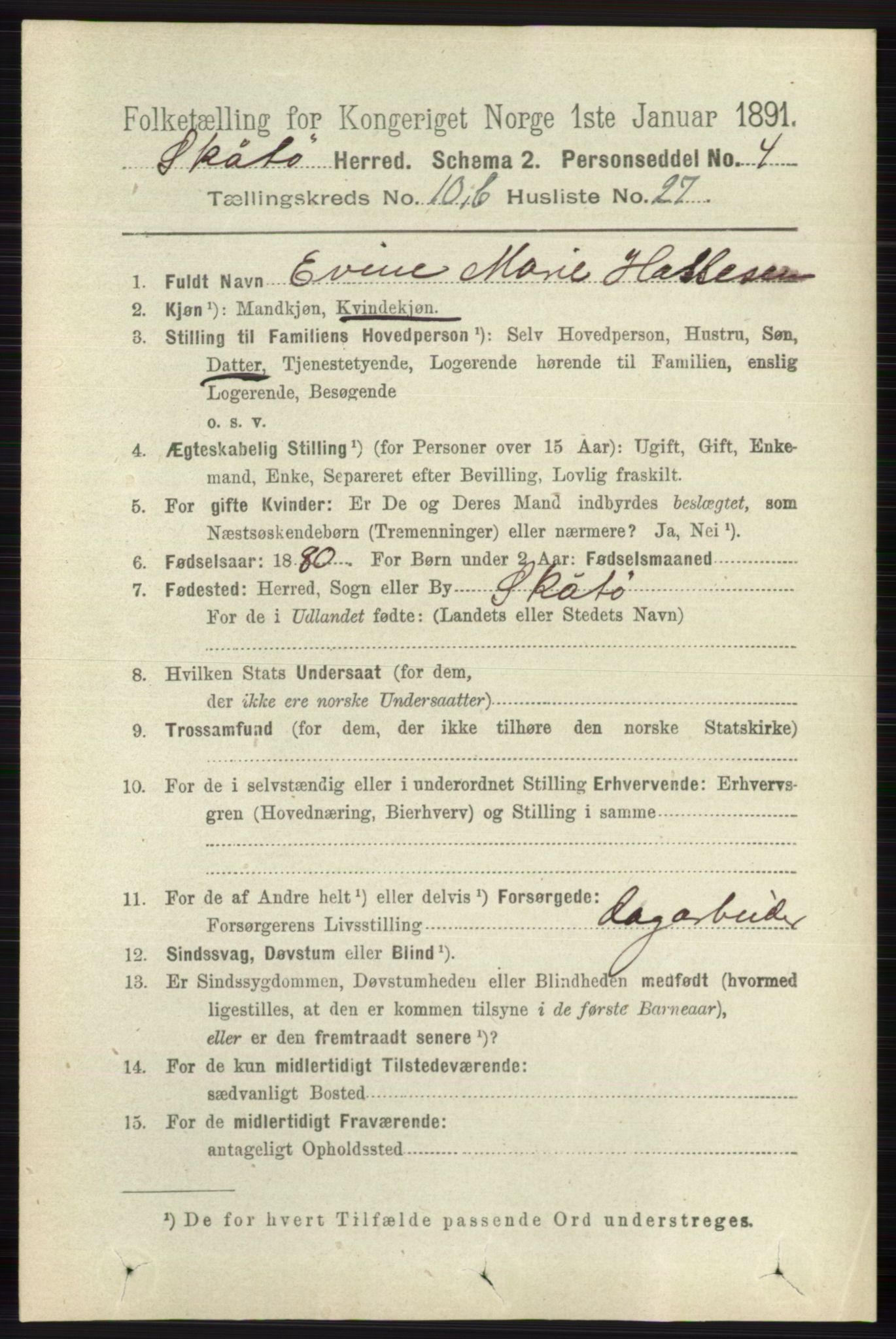 RA, 1891 census for 0815 Skåtøy, 1891, p. 4203