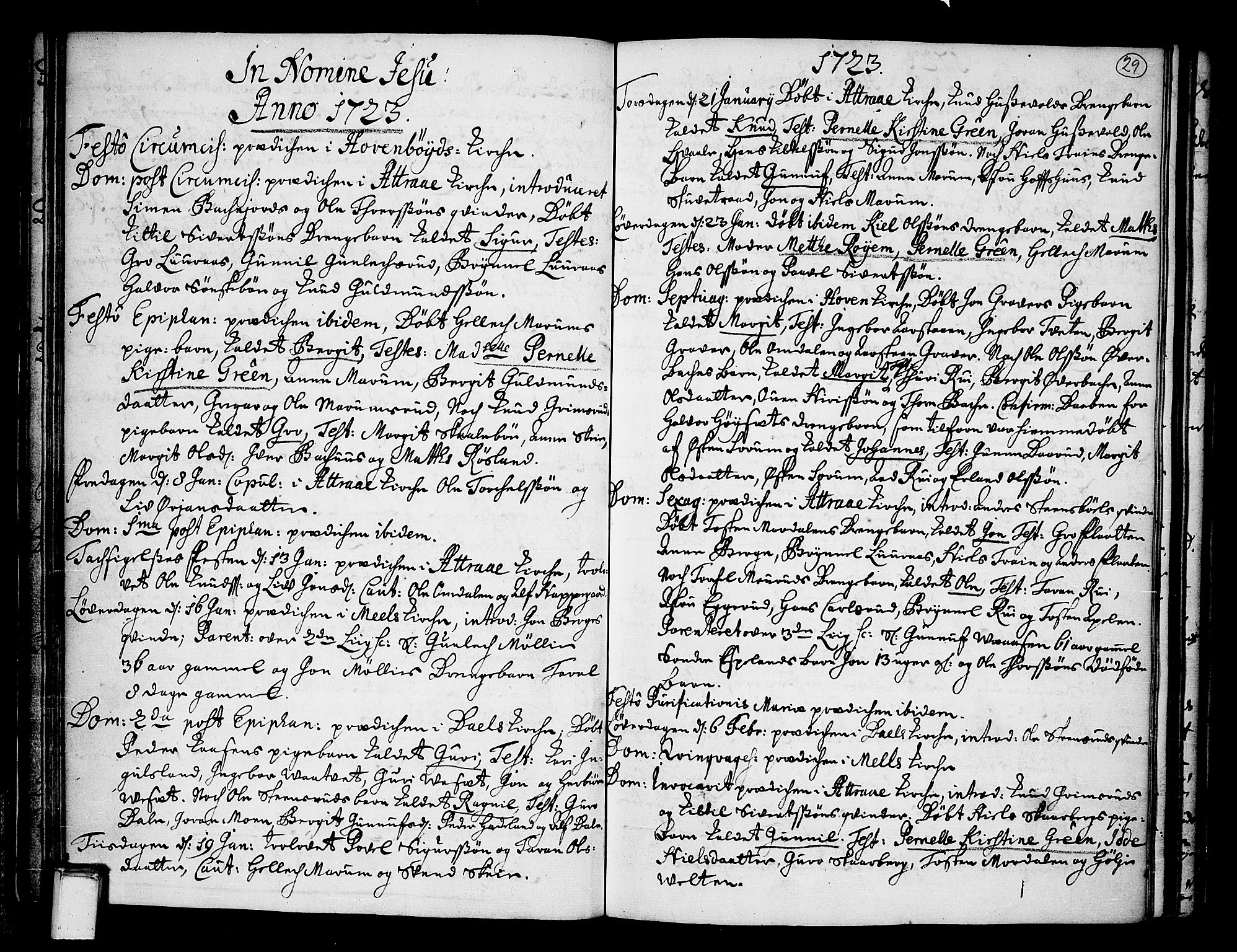 Tinn kirkebøker, SAKO/A-308/F/Fa/L0001: Parish register (official) no. I 1, 1717-1734, p. 29