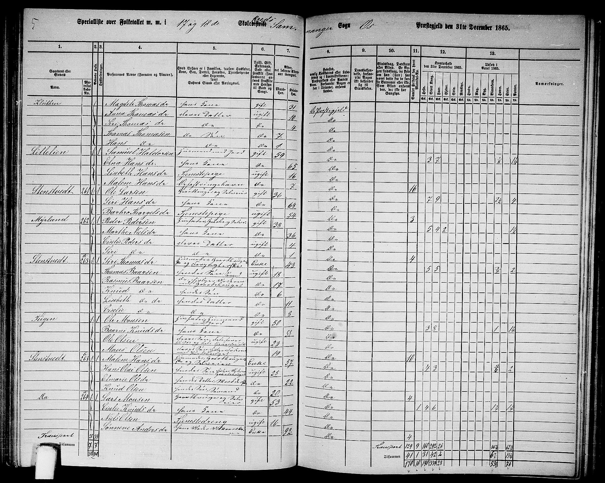 RA, 1865 census for Os, 1865, p. 116