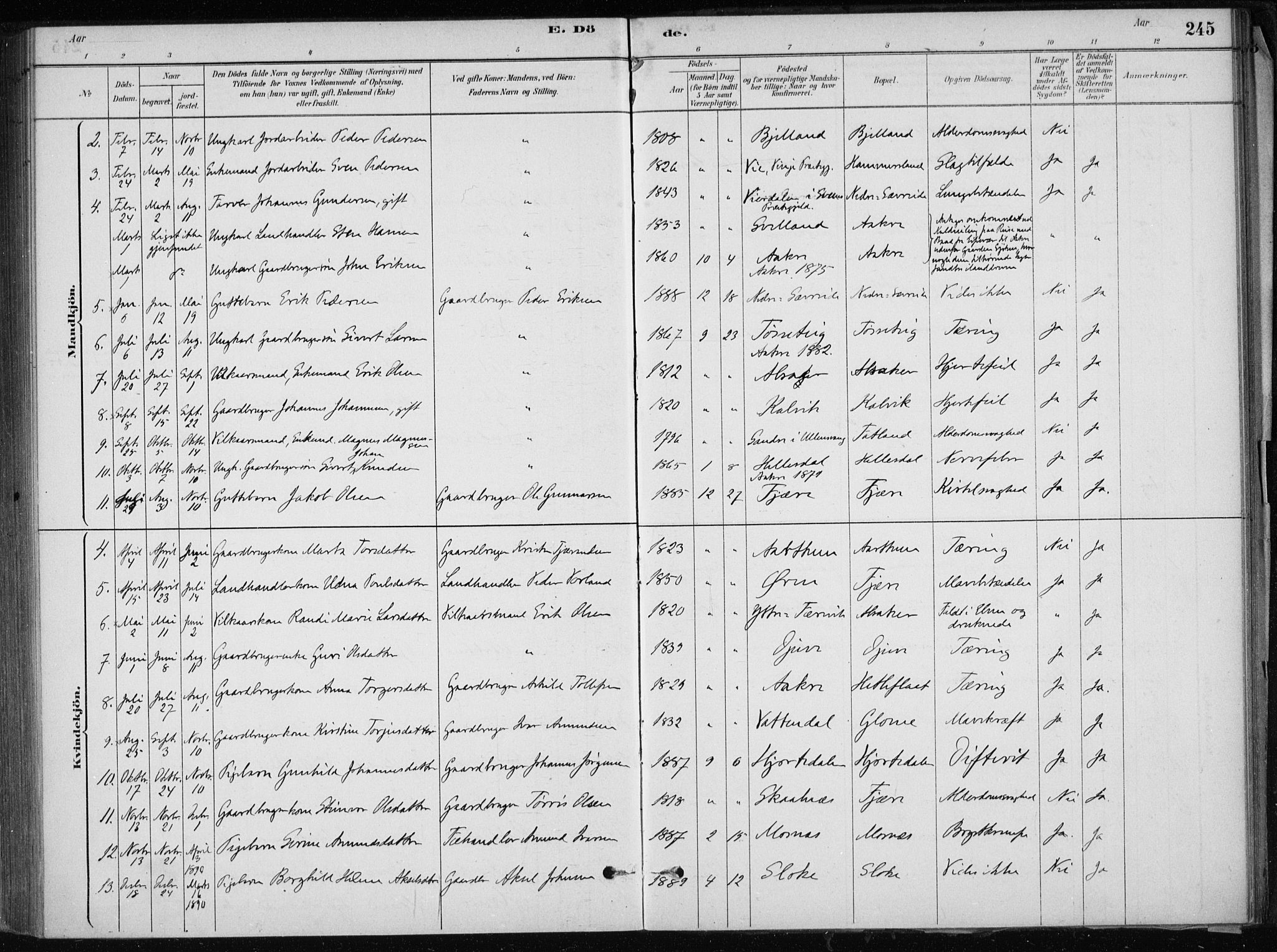 Skånevik sokneprestembete, AV/SAB-A-77801/H/Haa: Parish register (official) no. E  1, 1879-1901, p. 245