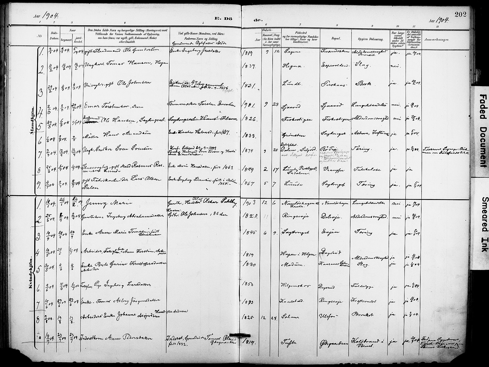 Holla kirkebøker, SAKO/A-272/F/Fa/L0010: Parish register (official) no. 10, 1897-1907, p. 202