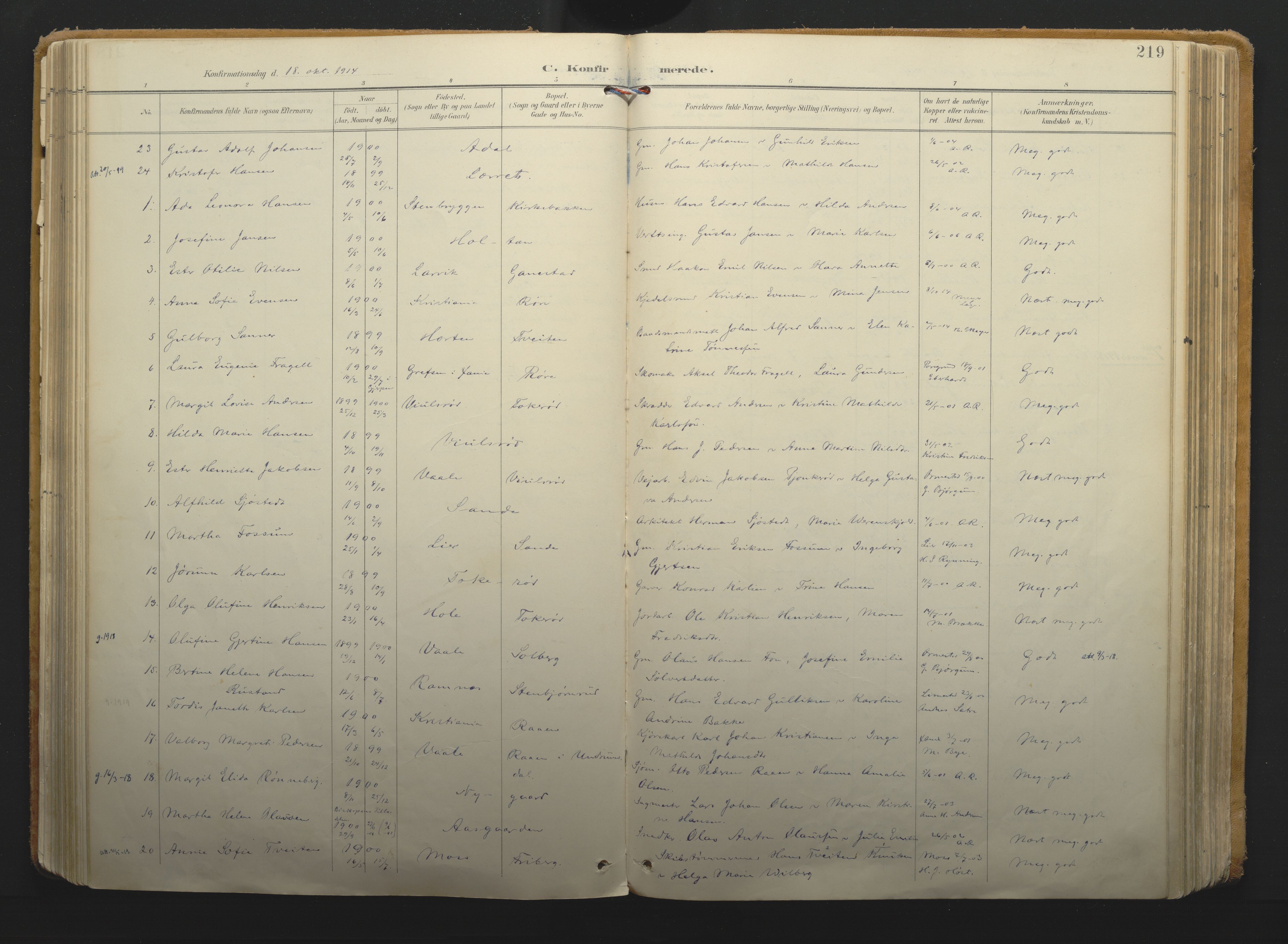 Borre kirkebøker, AV/SAKO-A-338/F/Fa/L0011: Parish register (official) no. I 11, 1897-1921, p. 219