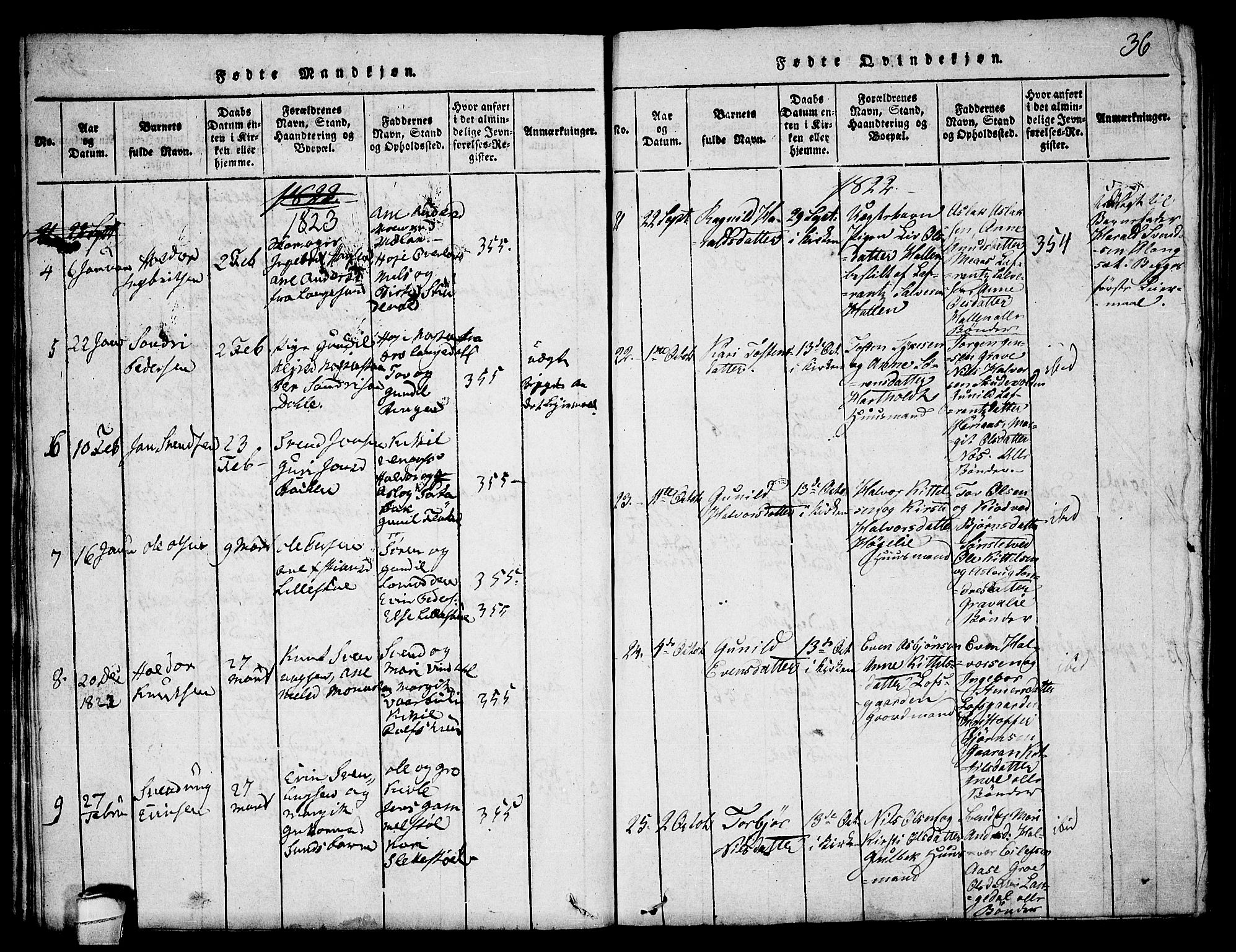 Seljord kirkebøker, SAKO/A-20/F/Fa/L0010: Parish register (official) no. I 10, 1815-1831, p. 36