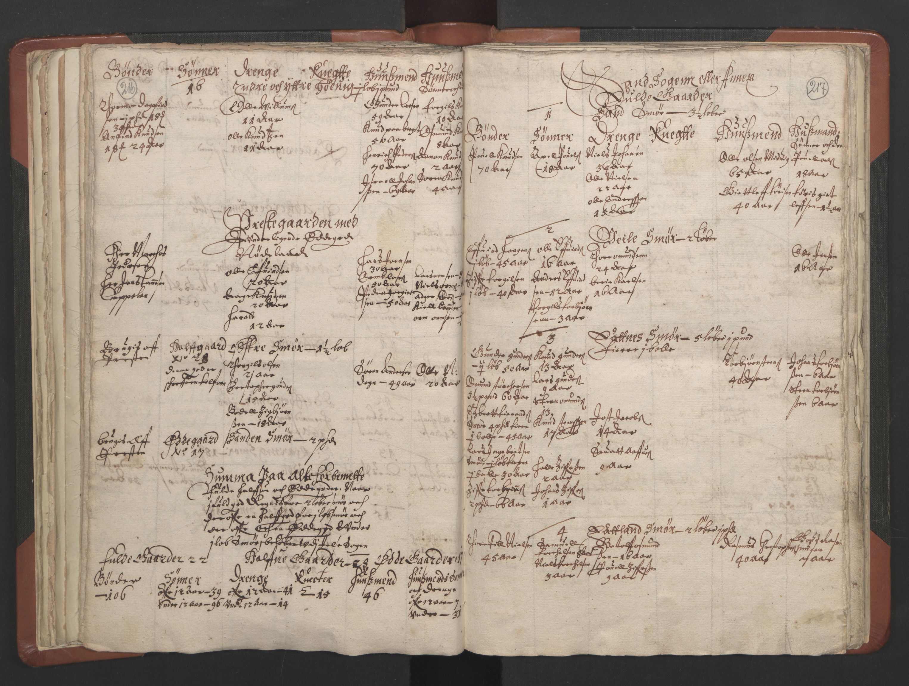 RA, Vicar's Census 1664-1666, no. 19: Ryfylke deanery, 1664-1666, p. 216-217
