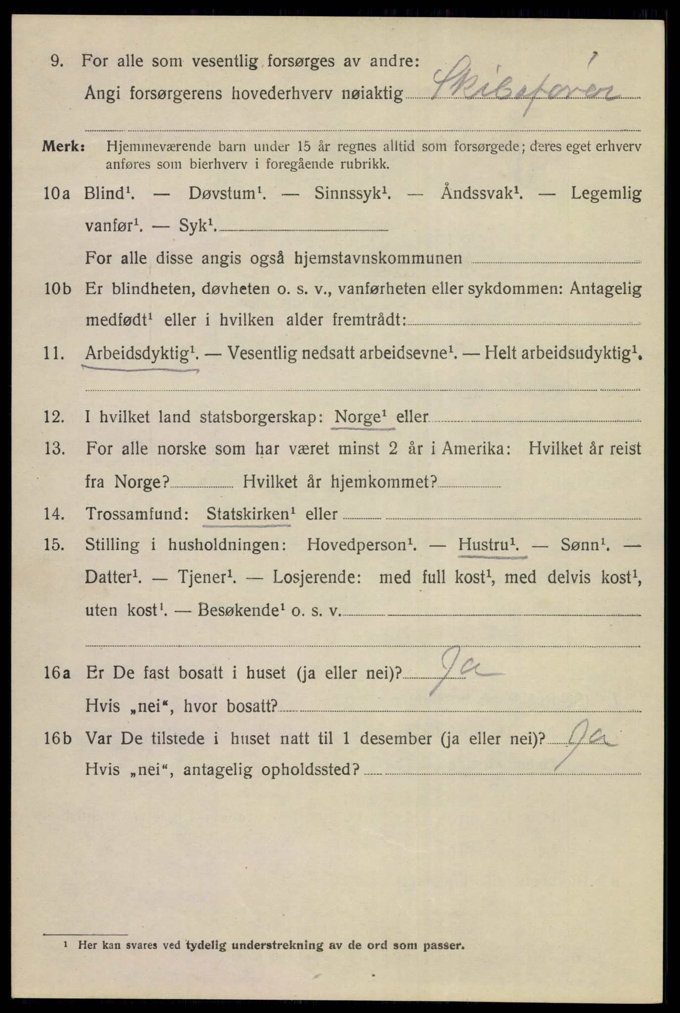 SAKO, 1920 census for Kragerø, 1920, p. 10004