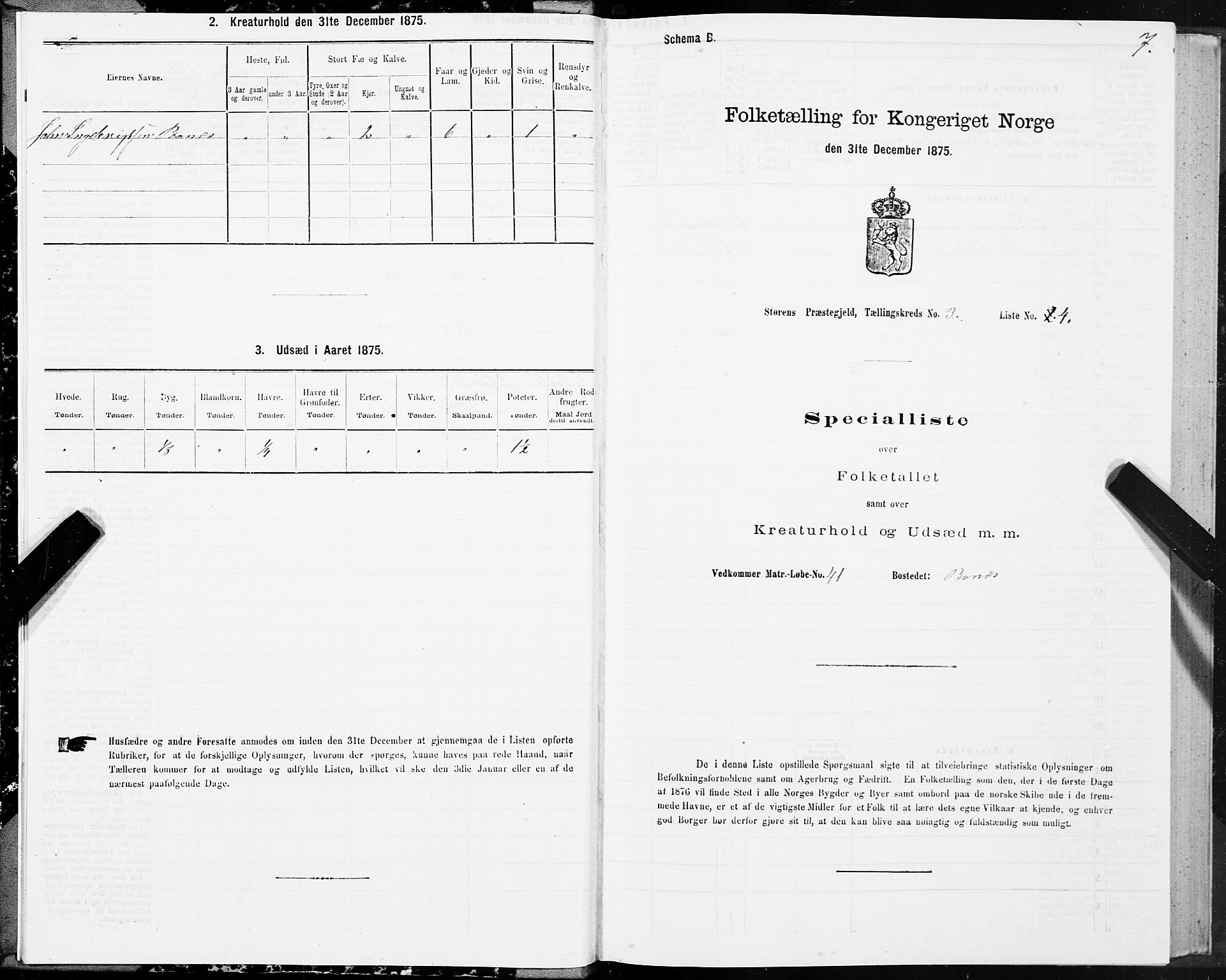 SAT, 1875 census for 1648P Støren, 1875, p. 2007