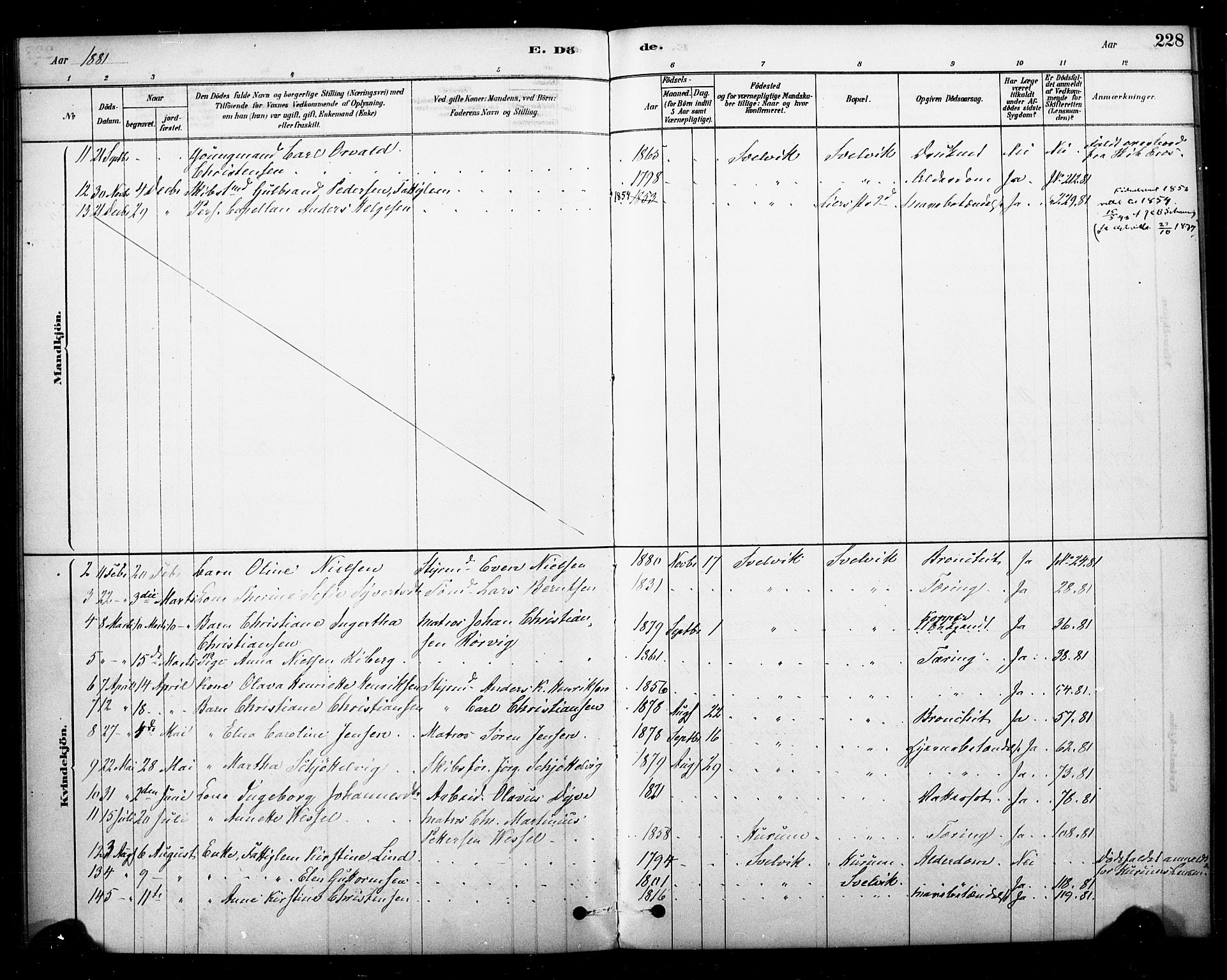 Strømm kirkebøker, SAKO/A-322/F/Fb/L0001: Parish register (official) no. II 1, 1878-1899, p. 228