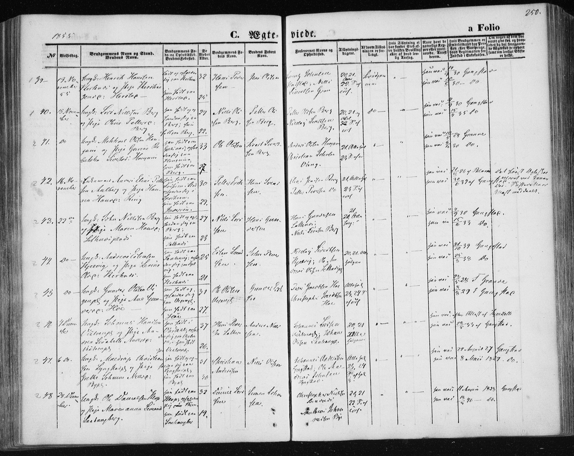 Ministerialprotokoller, klokkerbøker og fødselsregistre - Nord-Trøndelag, SAT/A-1458/730/L0283: Parish register (official) no. 730A08, 1855-1865, p. 250