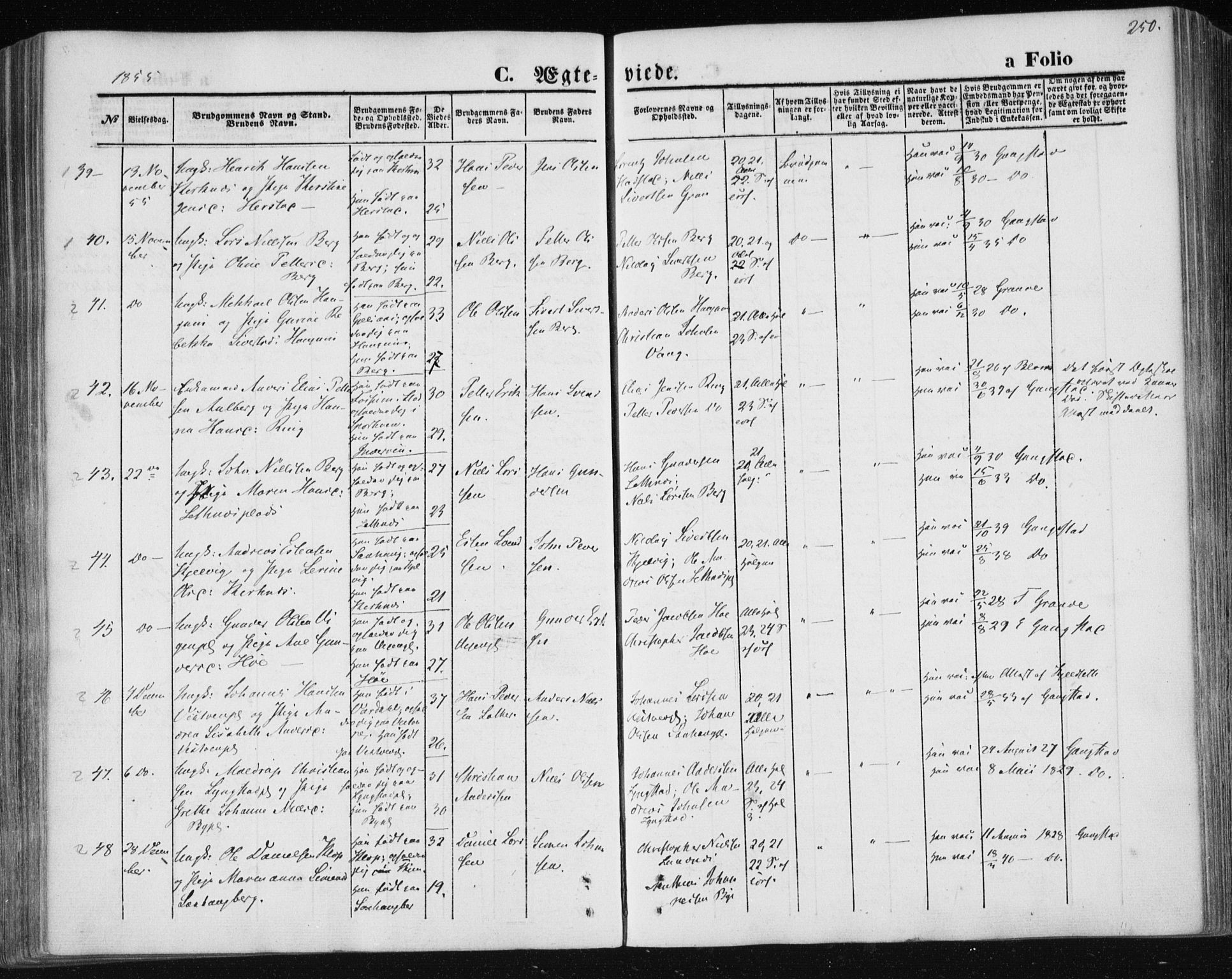 Ministerialprotokoller, klokkerbøker og fødselsregistre - Nord-Trøndelag, AV/SAT-A-1458/730/L0283: Parish register (official) no. 730A08, 1855-1865, p. 250