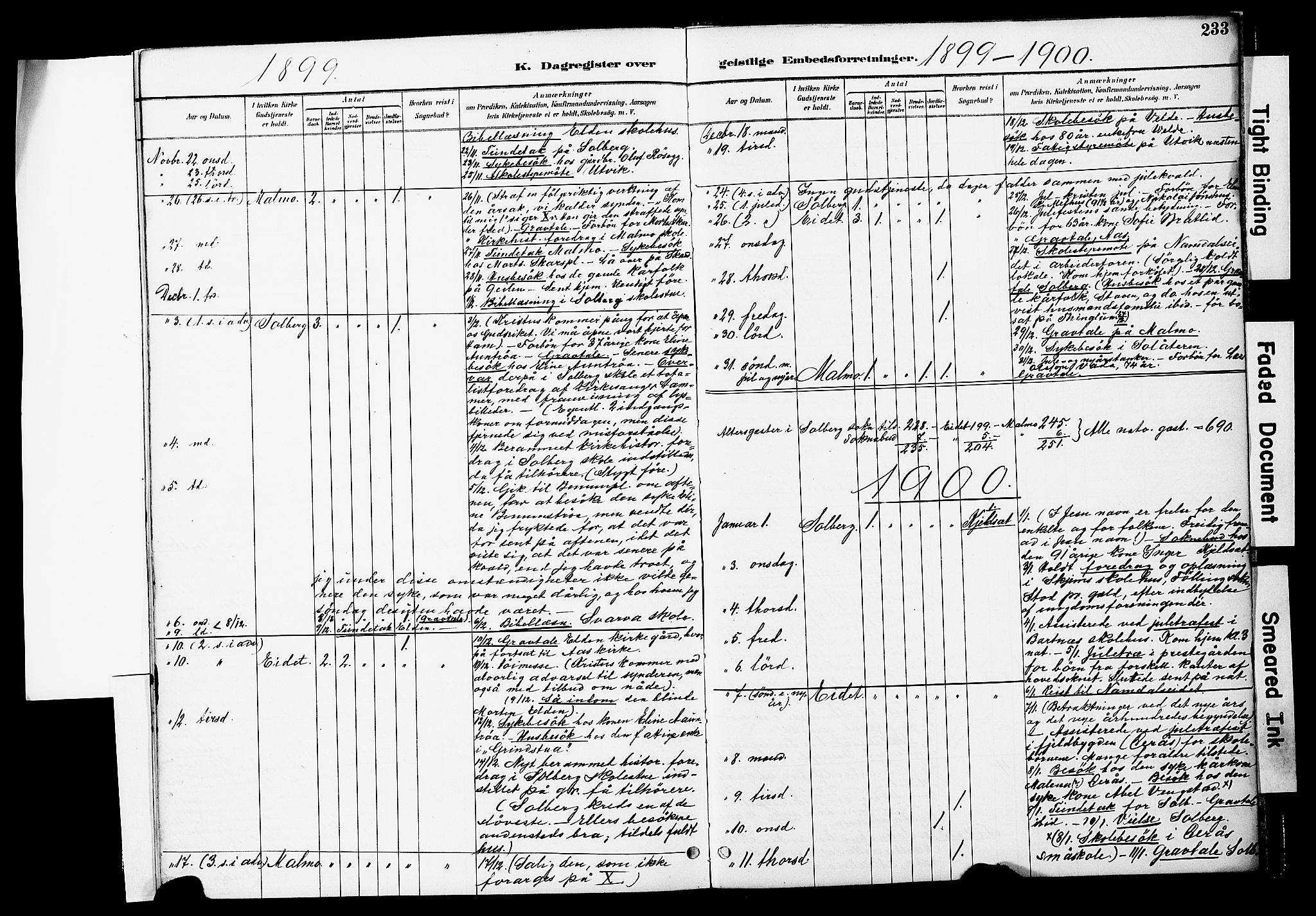 Ministerialprotokoller, klokkerbøker og fødselsregistre - Nord-Trøndelag, AV/SAT-A-1458/741/L0396: Parish register (official) no. 741A10, 1889-1901, p. 233