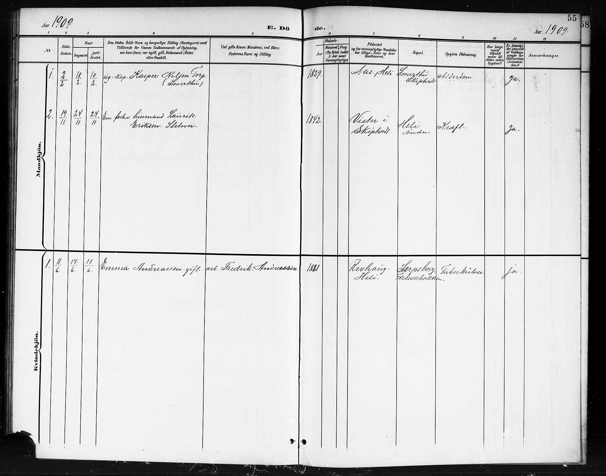 Spydeberg prestekontor Kirkebøker, AV/SAO-A-10924/G/Gc/L0001: Parish register (copy) no. III 1, 1901-1917, p. 55