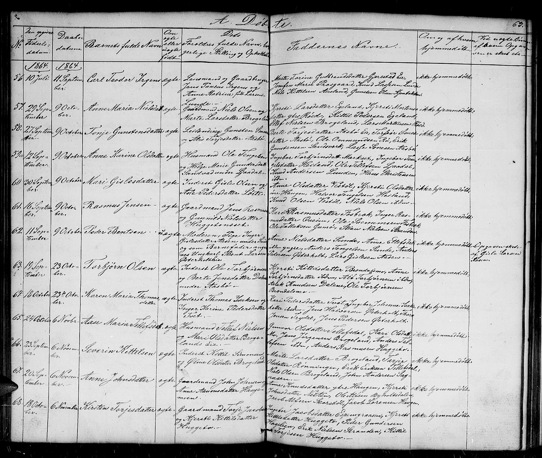 Gjerstad sokneprestkontor, AV/SAK-1111-0014/F/Fb/Fba/L0005: Parish register (copy) no. B 5, 1853-1867, p. 63