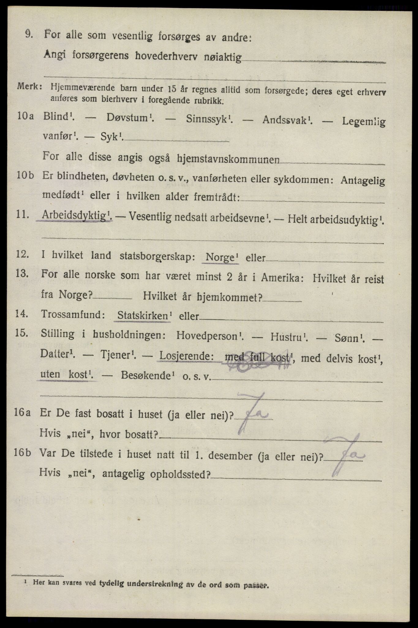 SAO, 1920 census for Lillestrøm, 1920, p. 11315