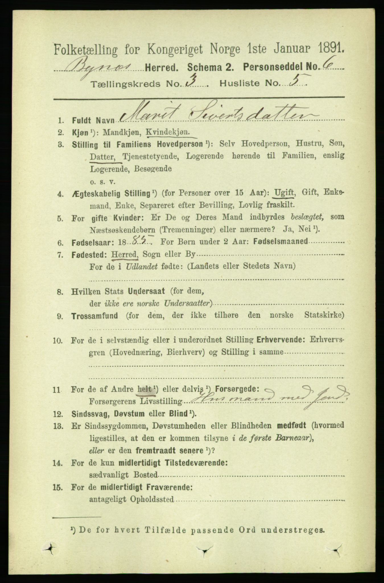 RA, 1891 census for 1655 Byneset, 1891, p. 1315