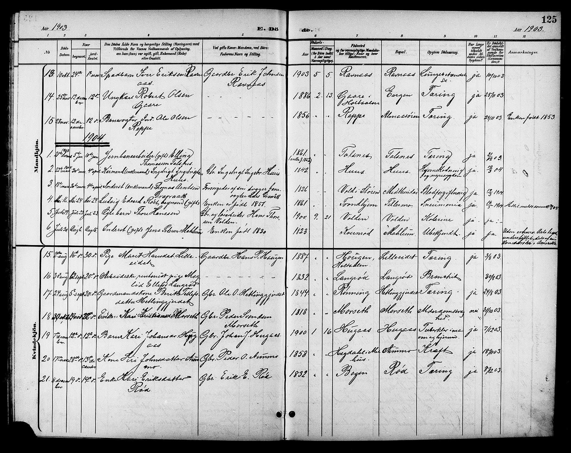 Ministerialprotokoller, klokkerbøker og fødselsregistre - Sør-Trøndelag, SAT/A-1456/688/L1029: Parish register (copy) no. 688C04, 1899-1915, p. 125