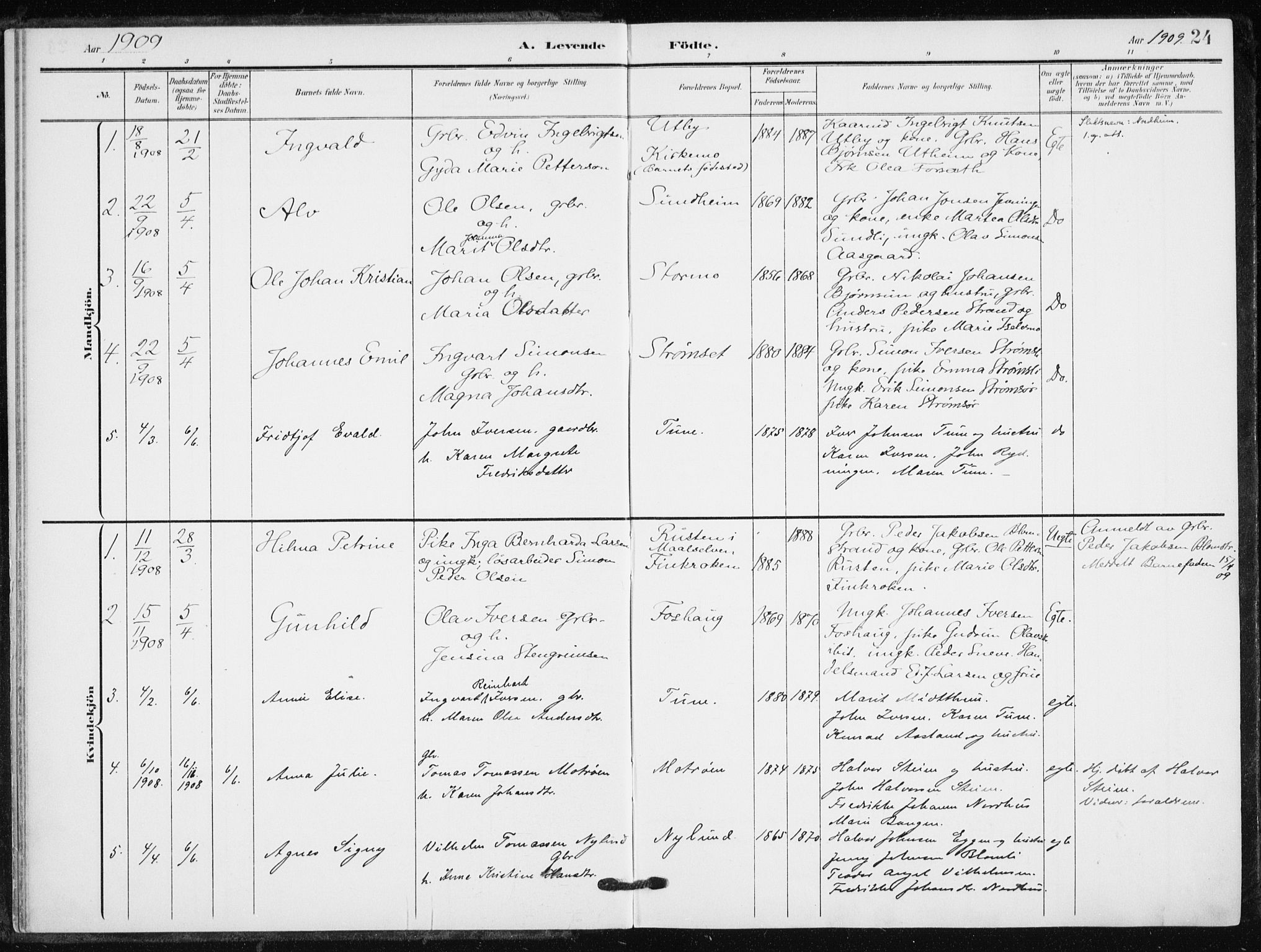 Målselv sokneprestembete, SATØ/S-1311/G/Ga/Gaa/L0013kirke: Parish register (official) no. 13, 1903-1919, p. 24