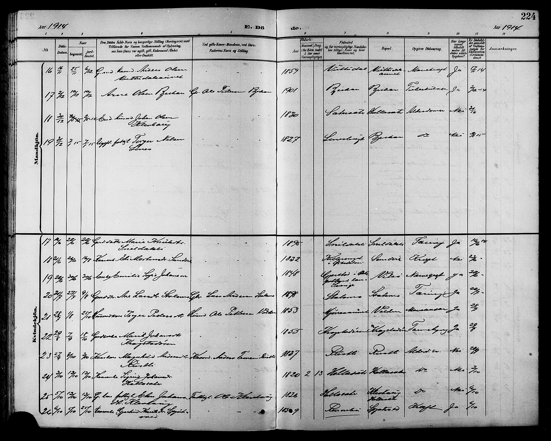 Ministerialprotokoller, klokkerbøker og fødselsregistre - Sør-Trøndelag, SAT/A-1456/630/L0505: Parish register (copy) no. 630C03, 1899-1914, p. 224