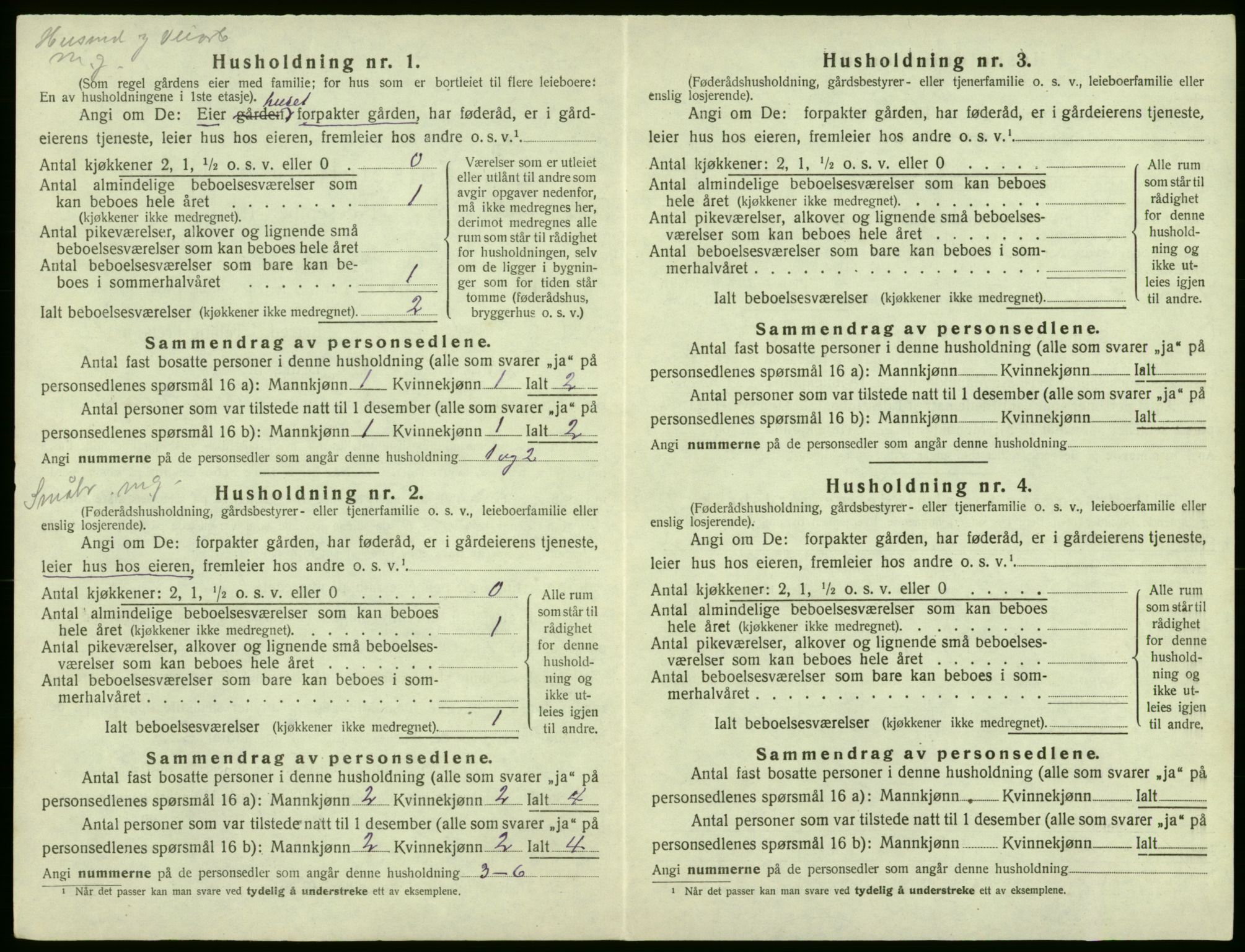 SAB, 1920 census for Røldal, 1920, p. 52