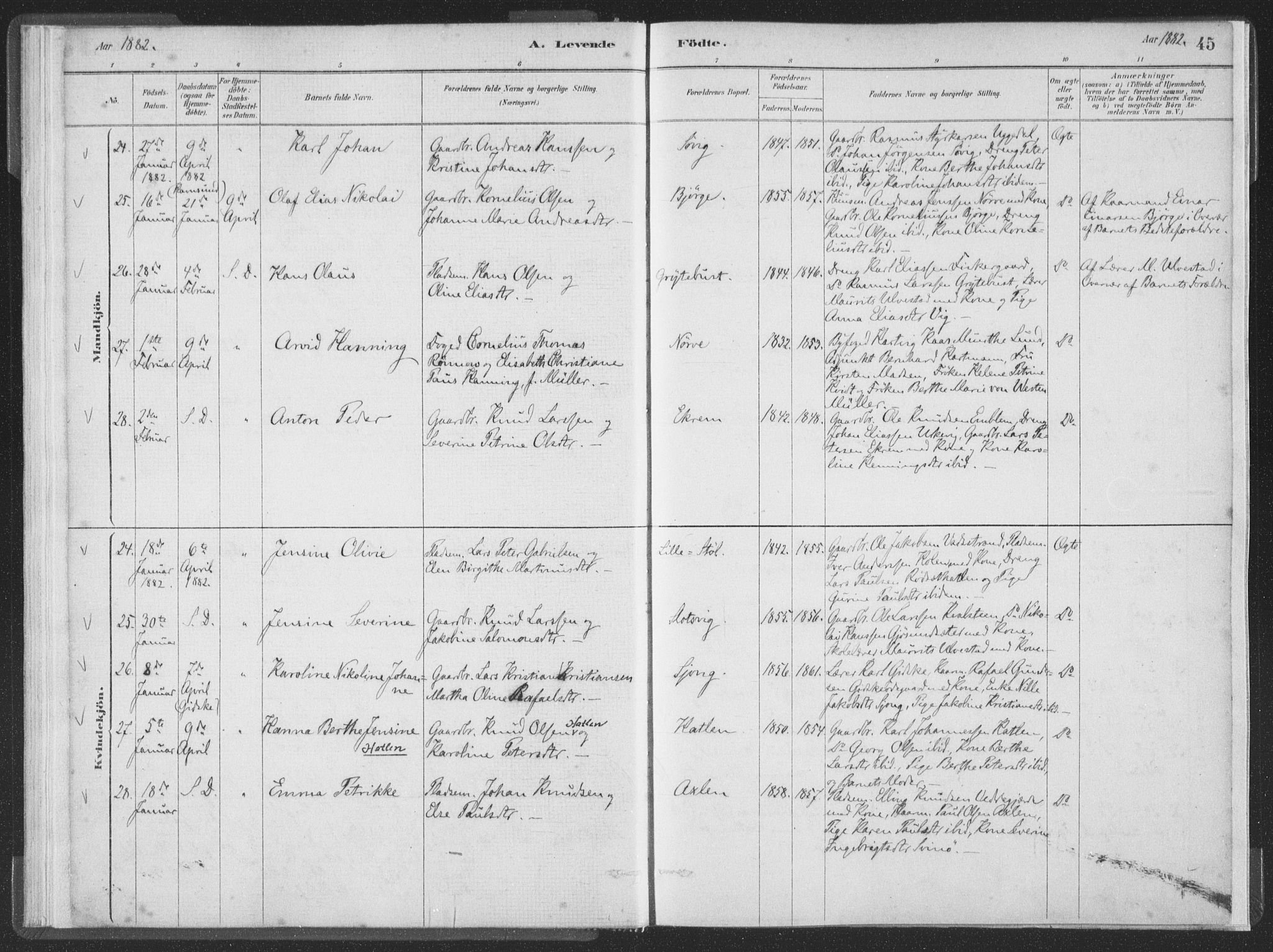 Ministerialprotokoller, klokkerbøker og fødselsregistre - Møre og Romsdal, AV/SAT-A-1454/528/L0401: Parish register (official) no. 528A12I, 1880-1920, p. 45