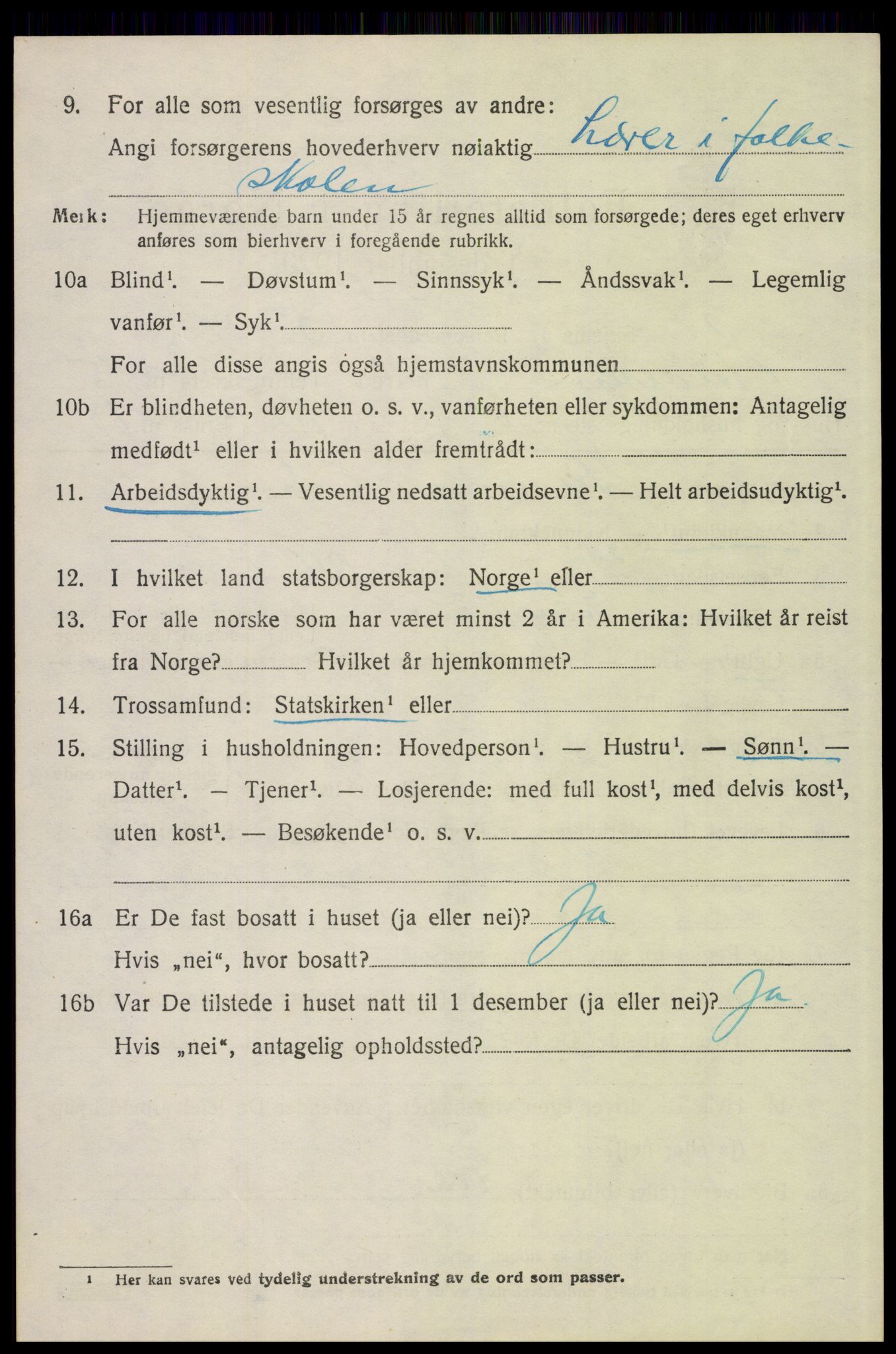 SAH, 1920 census for Elverum, 1920, p. 19913