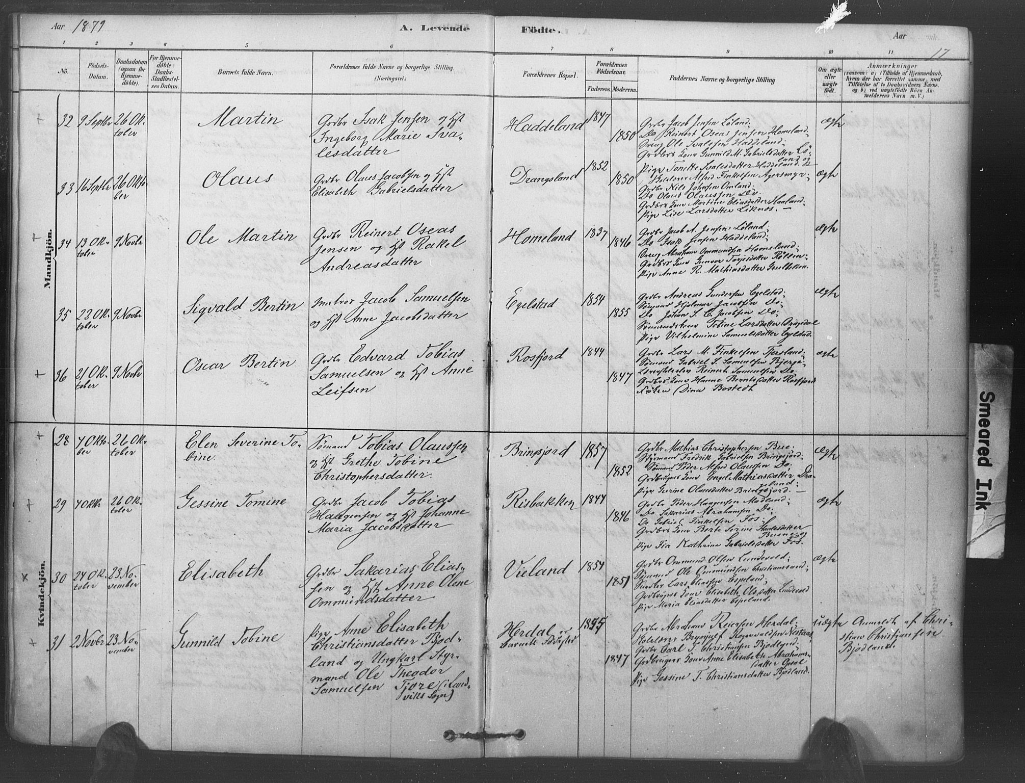 Lyngdal sokneprestkontor, AV/SAK-1111-0029/F/Fa/Fac/L0011: Parish register (official) no. A 11, 1878-1893, p. 17