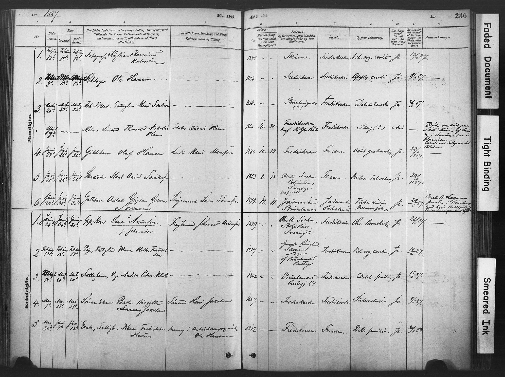 Stavern kirkebøker, SAKO/A-318/F/Fa/L0008: Parish register (official) no. 8, 1878-1905, p. 236