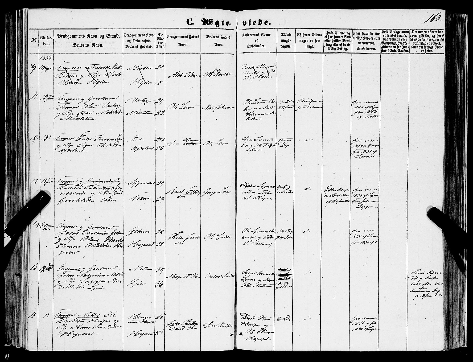 Ulvik sokneprestembete, SAB/A-78801/H/Haa: Parish register (official) no. A 13, 1853-1863, p. 163