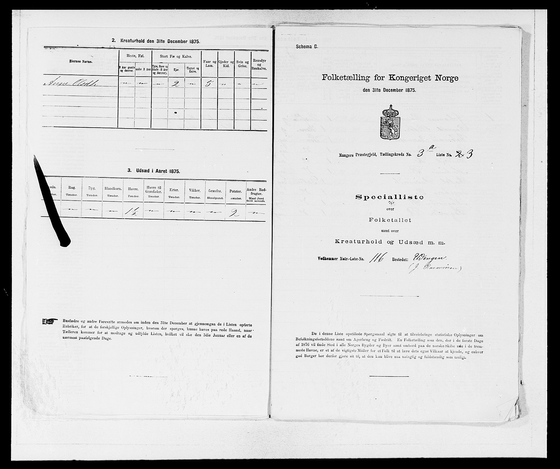 SAB, 1875 census for 1261P Manger, 1875, p. 383