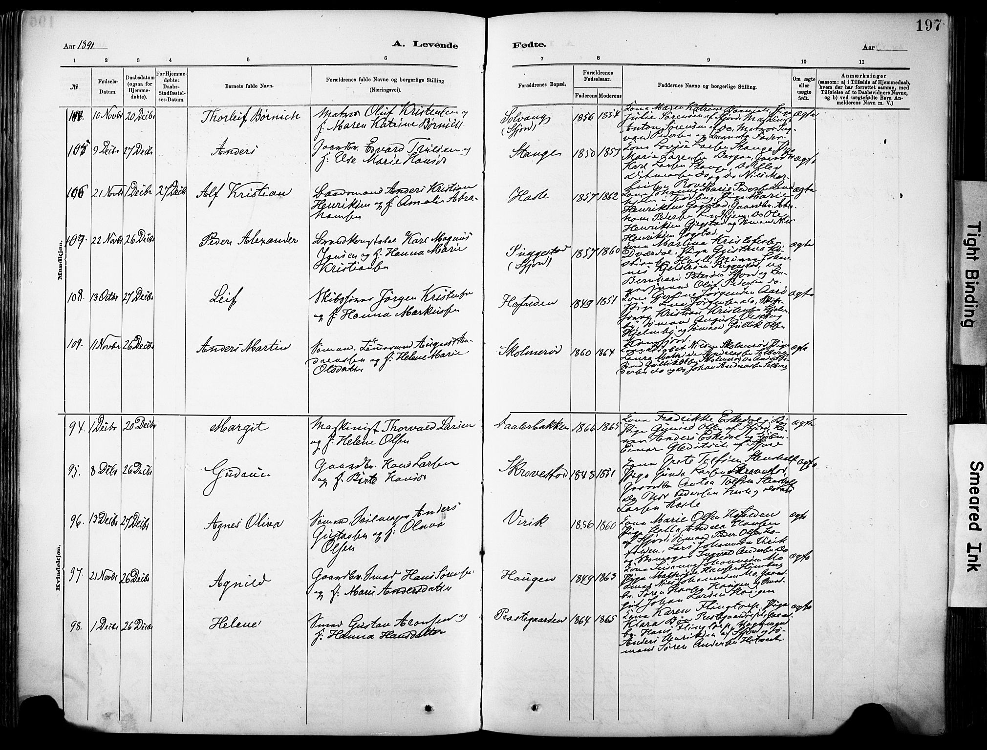 Sandar kirkebøker, AV/SAKO-A-243/F/Fa/L0012: Parish register (official) no. 12, 1883-1895, p. 197