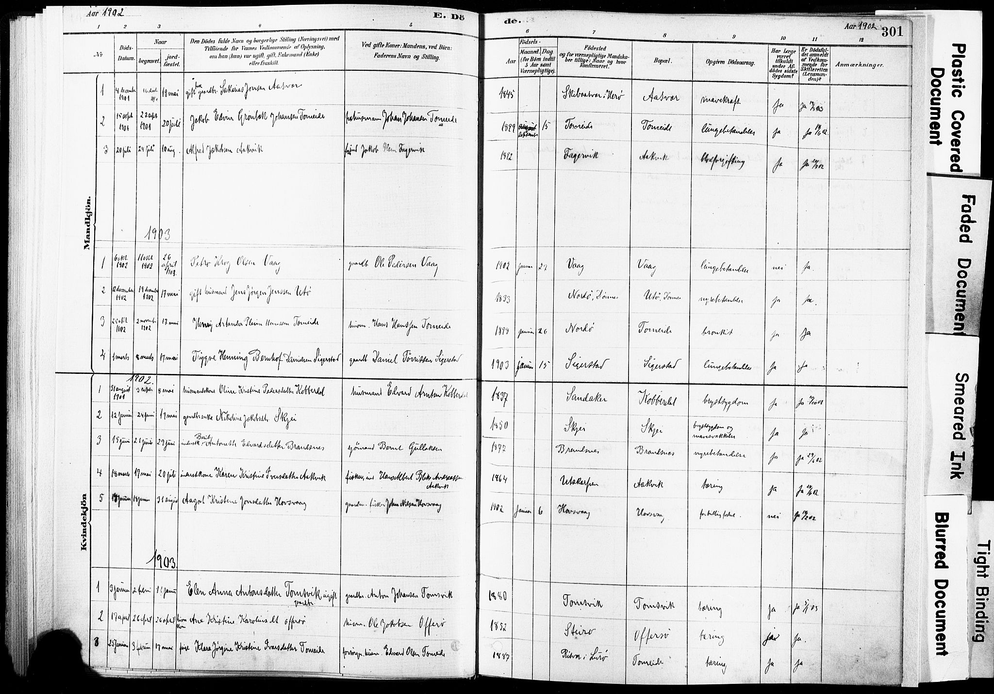 Ministerialprotokoller, klokkerbøker og fødselsregistre - Nordland, AV/SAT-A-1459/835/L0526: Parish register (official) no. 835A03II, 1881-1910, p. 301