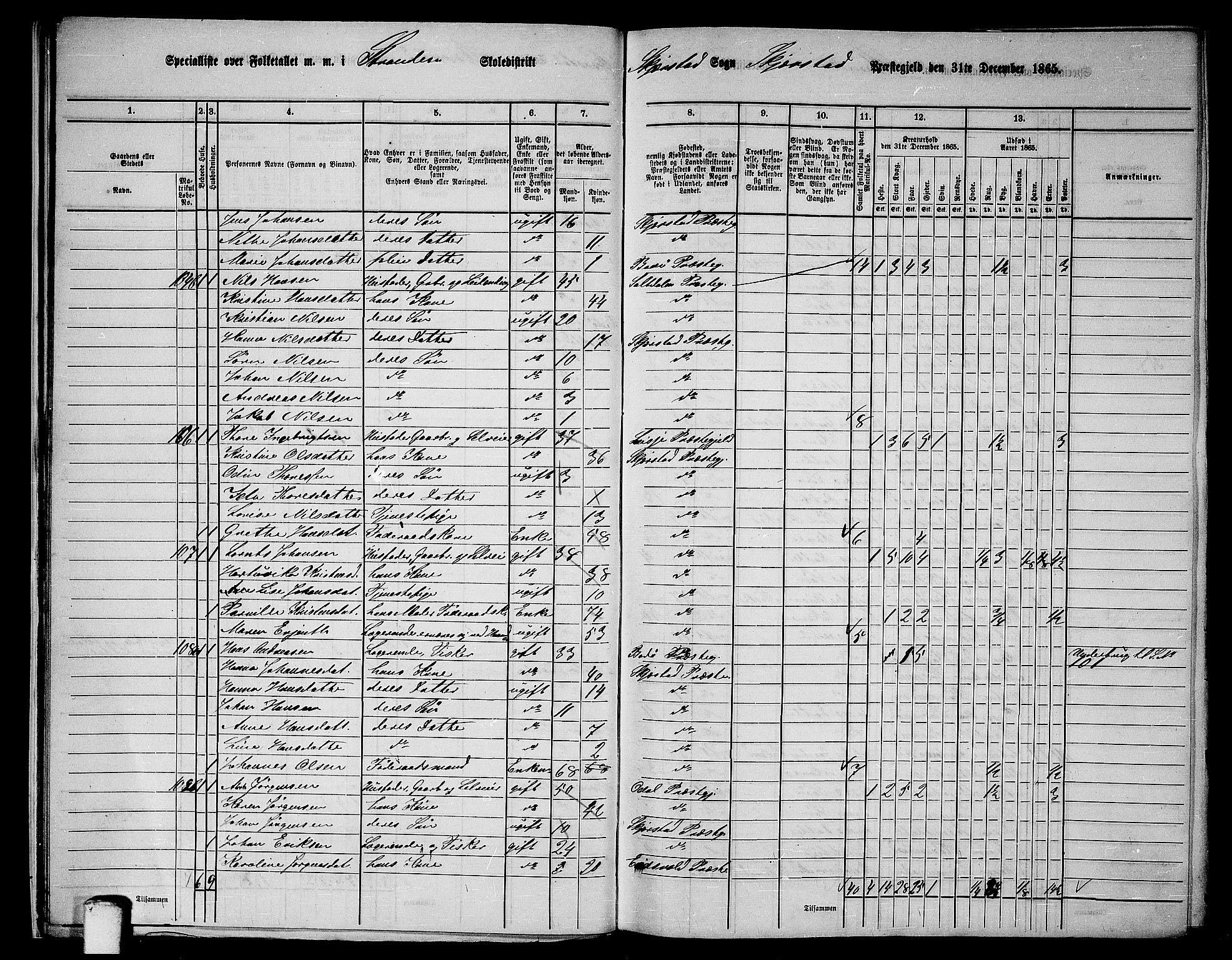 RA, 1865 census for Skjerstad, 1865, p. 19