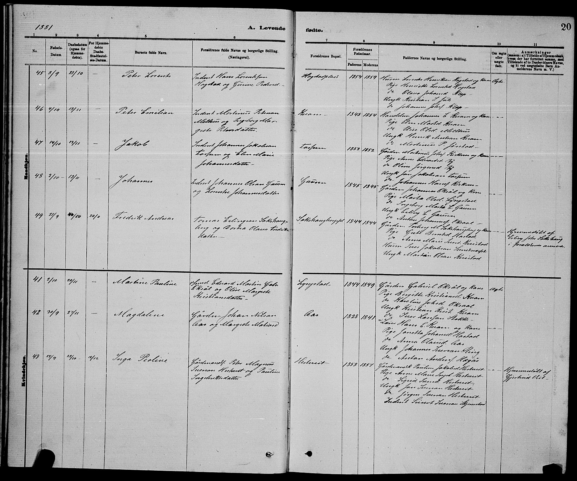 Ministerialprotokoller, klokkerbøker og fødselsregistre - Nord-Trøndelag, AV/SAT-A-1458/730/L0301: Parish register (copy) no. 730C04, 1880-1897, p. 20