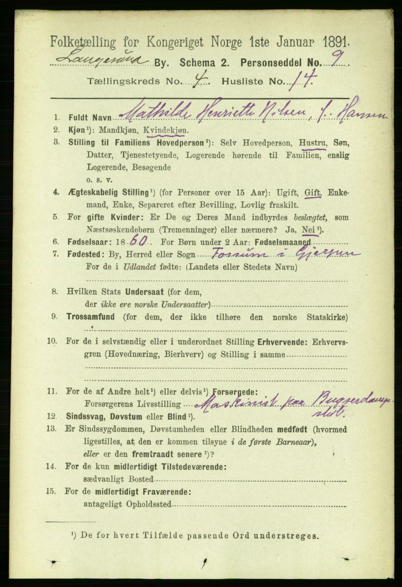 RA, 1891 census for 0802 Langesund, 1891, p. 1246