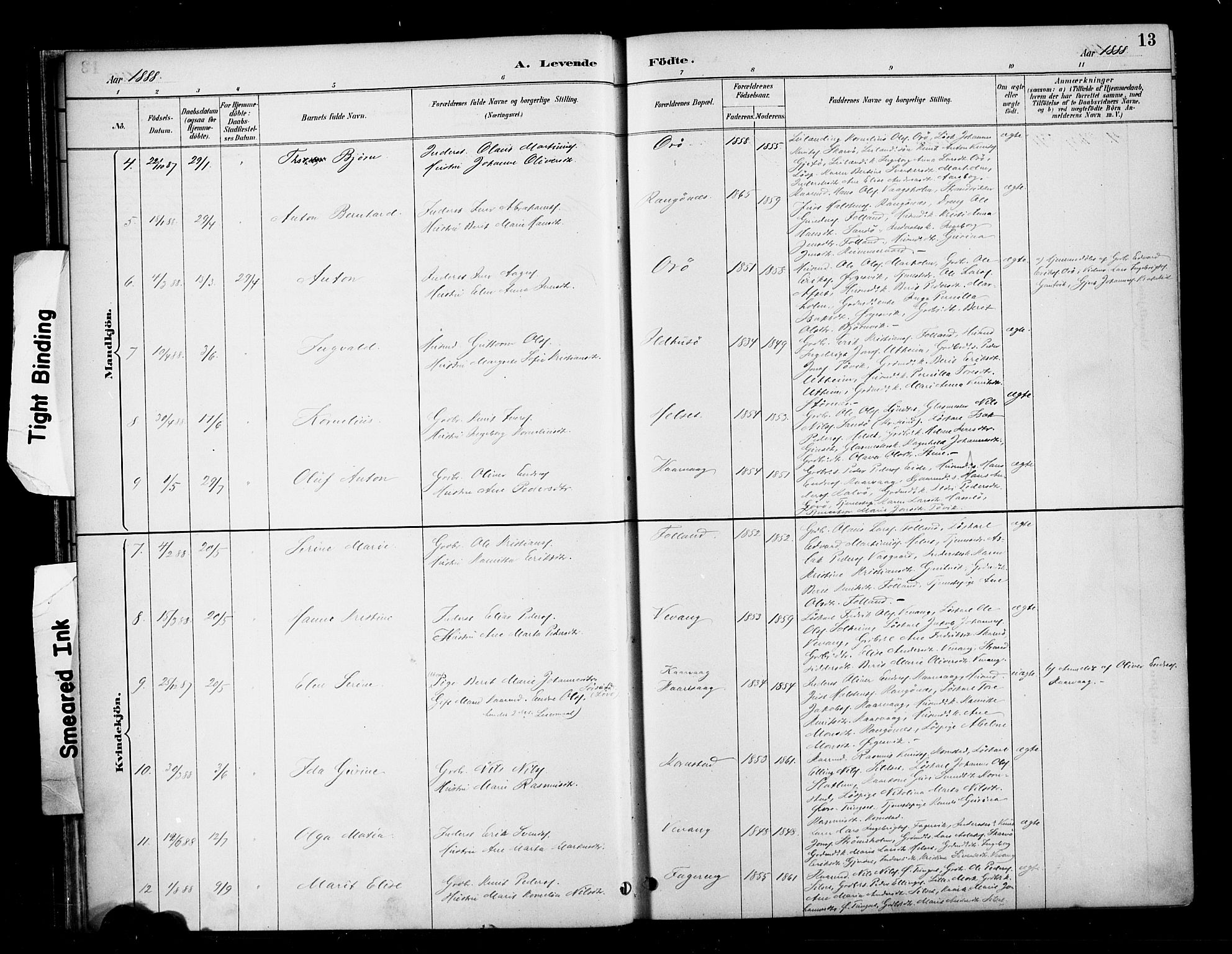 Ministerialprotokoller, klokkerbøker og fødselsregistre - Møre og Romsdal, AV/SAT-A-1454/570/L0832: Parish register (official) no. 570A06, 1885-1900, p. 13