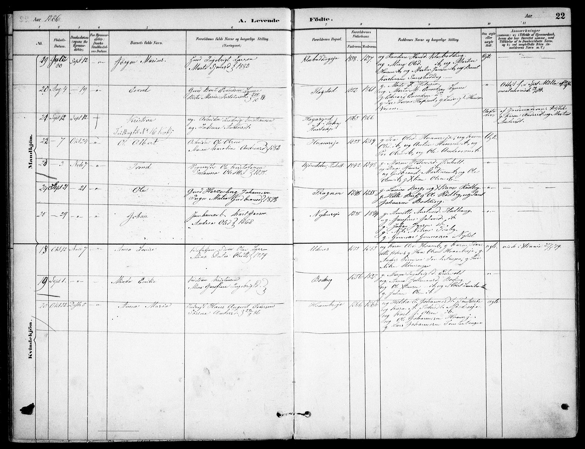 Nes prestekontor Kirkebøker, AV/SAO-A-10410/F/Fc/L0002: Parish register (official) no. IIi 2, 1882-1916, p. 22