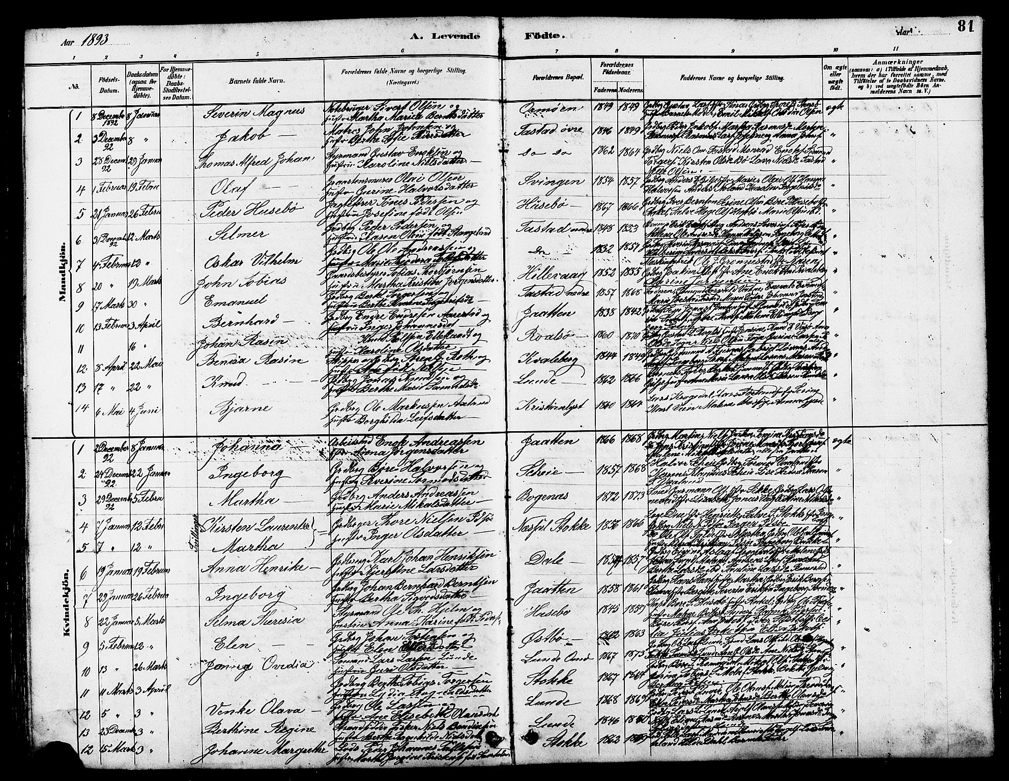 Hetland sokneprestkontor, SAST/A-101826/30/30BB/L0005: Parish register (copy) no. B 5, 1878-1910, p. 81